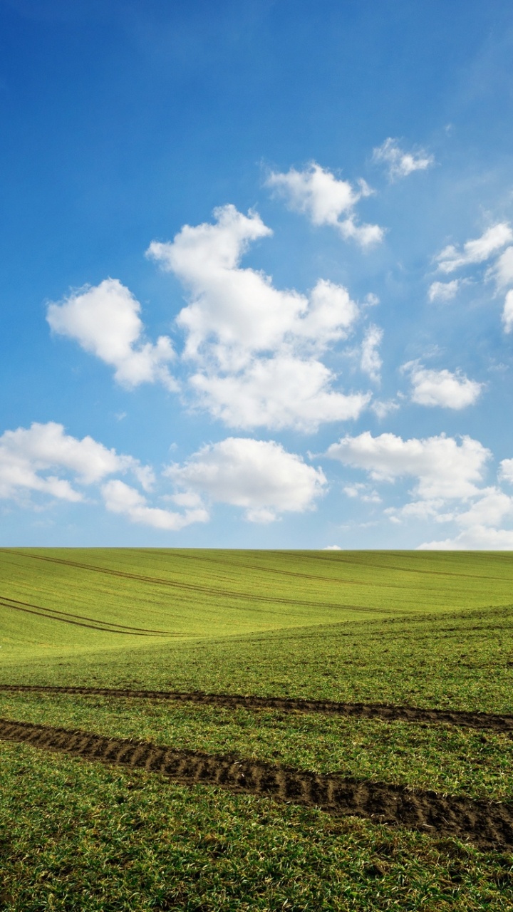 Tagsüber Grüne Wiese Unter Blauem Himmel. Wallpaper in 720x1280 Resolution