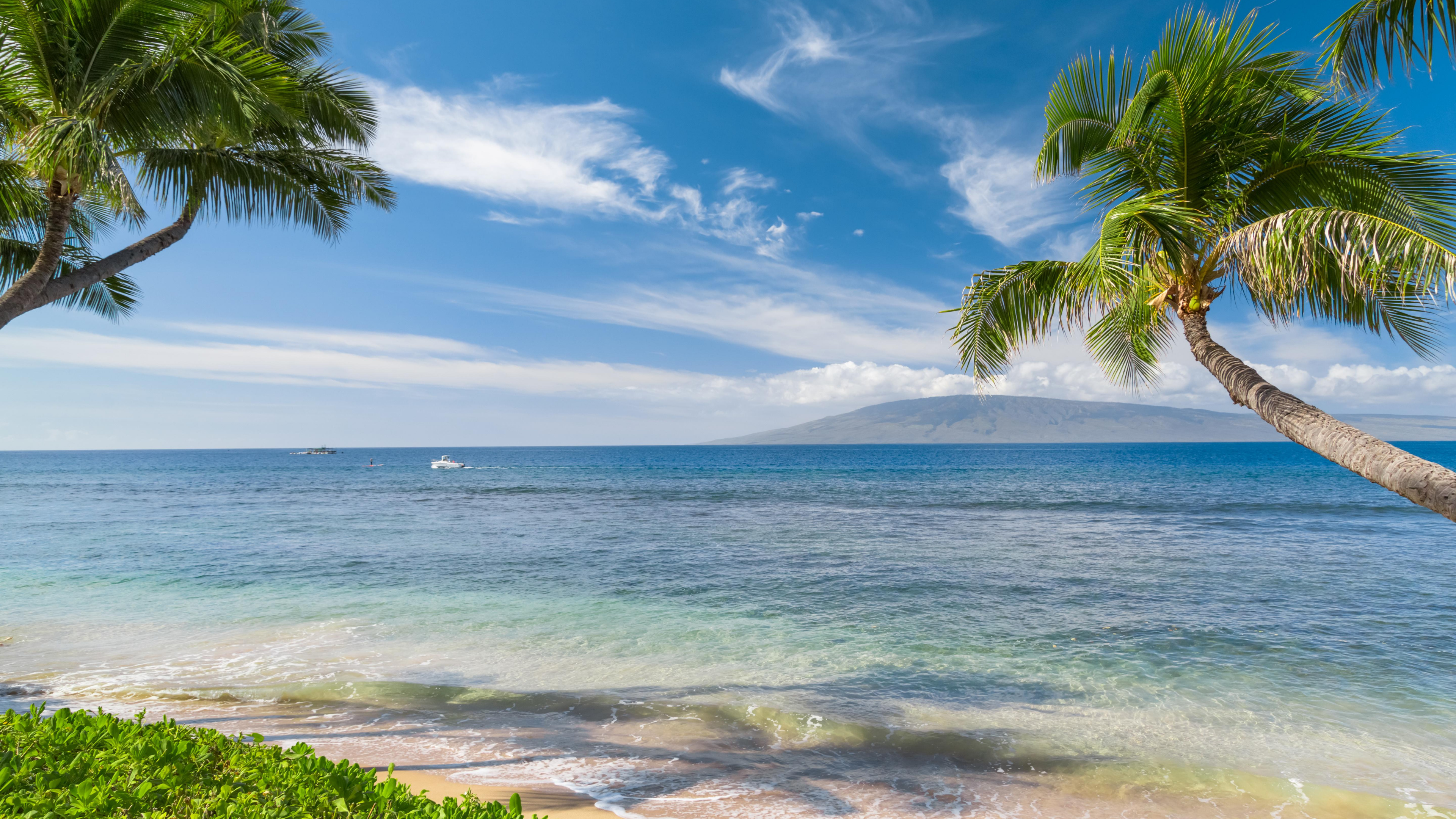 Green Palm Tree Near Sea Under Blue Sky During Daytime. Wallpaper in 3840x2160 Resolution