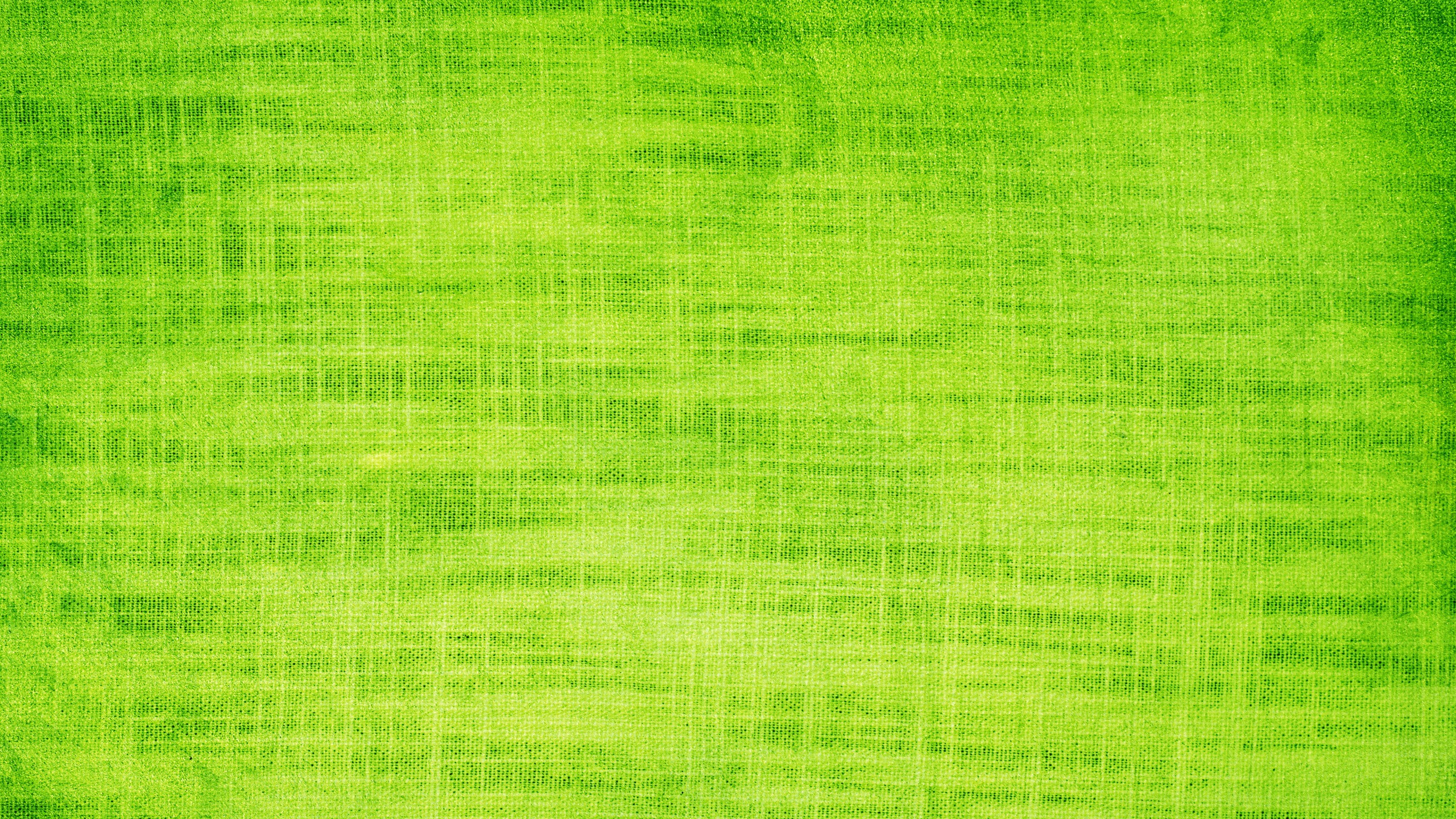 Textile Vert en Gros Plan Image. Wallpaper in 2560x1440 Resolution
