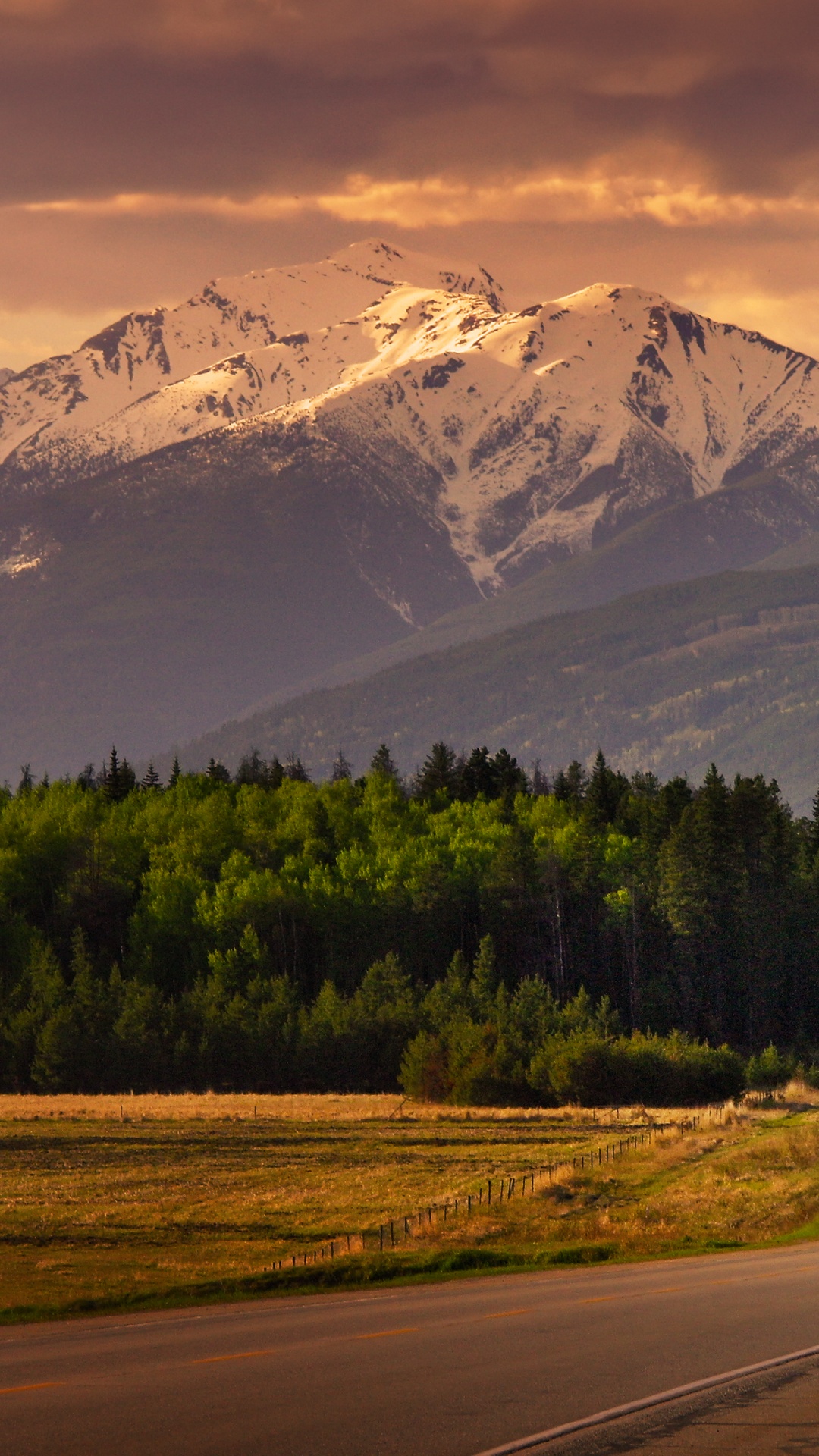 Mountain, Cloud, Plant, Ecoregion, Natural Landscape. Wallpaper in 1080x1920 Resolution