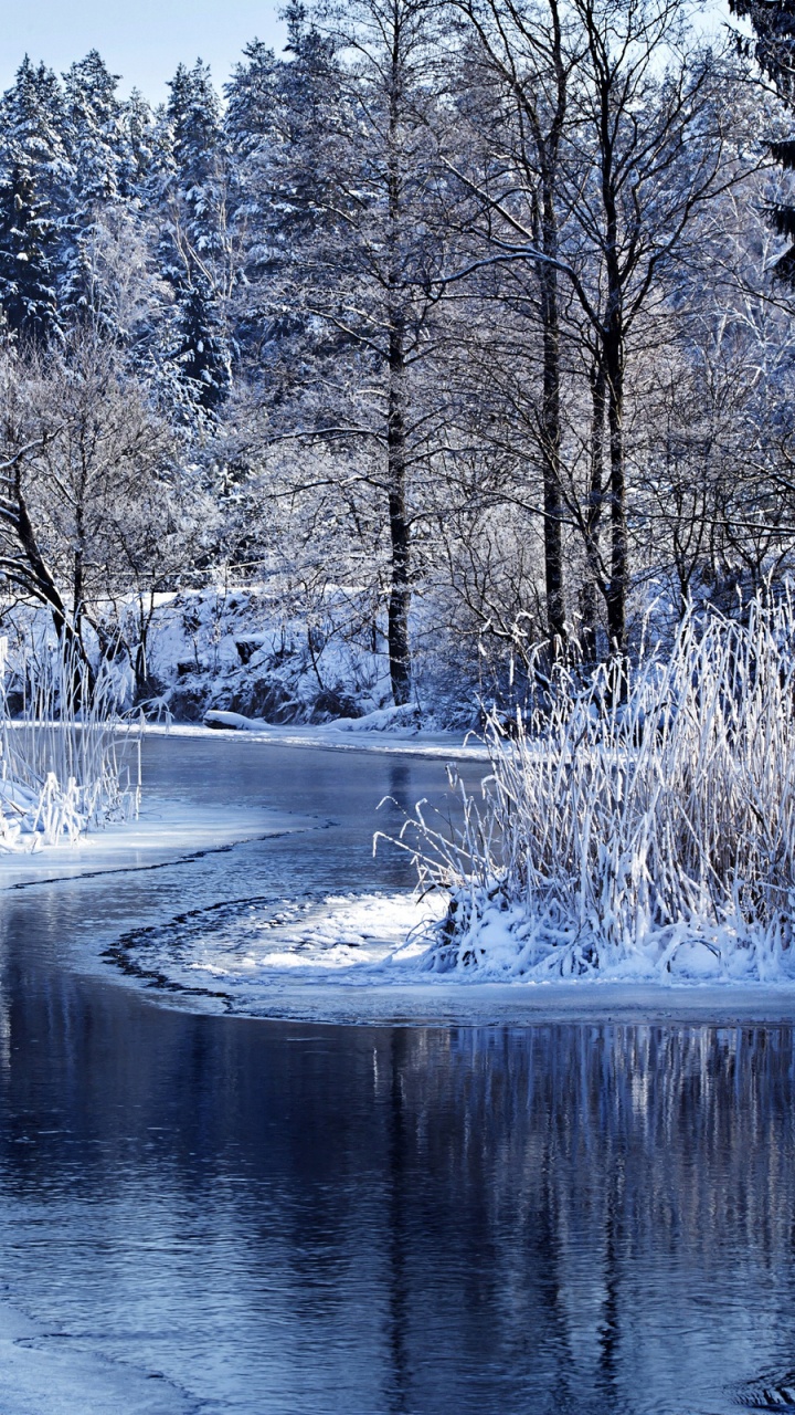 Snow Covered Trees Beside River During Daytime. Wallpaper in 720x1280 Resolution