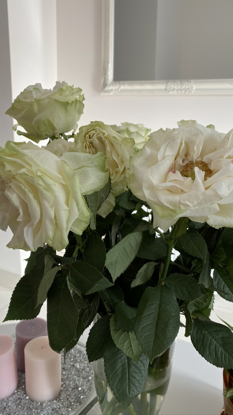 Cut Flowers, Floral Design, Garden Roses, Petal, Flower. Wallpaper in 750x1334 Resolution