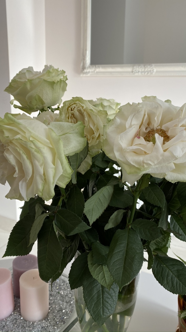 Les Fleurs Coupées, Design Floral, Les Roses de Jardin, Pétale, Bouquet. Wallpaper in 720x1280 Resolution