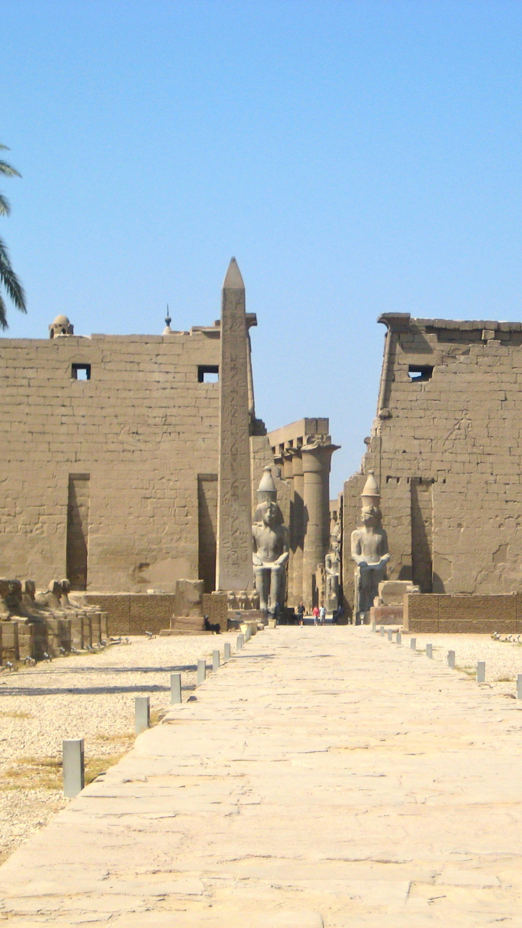 Brown Concrete Building Near Palm Trees During Daytime. Wallpaper in 750x1334 Resolution