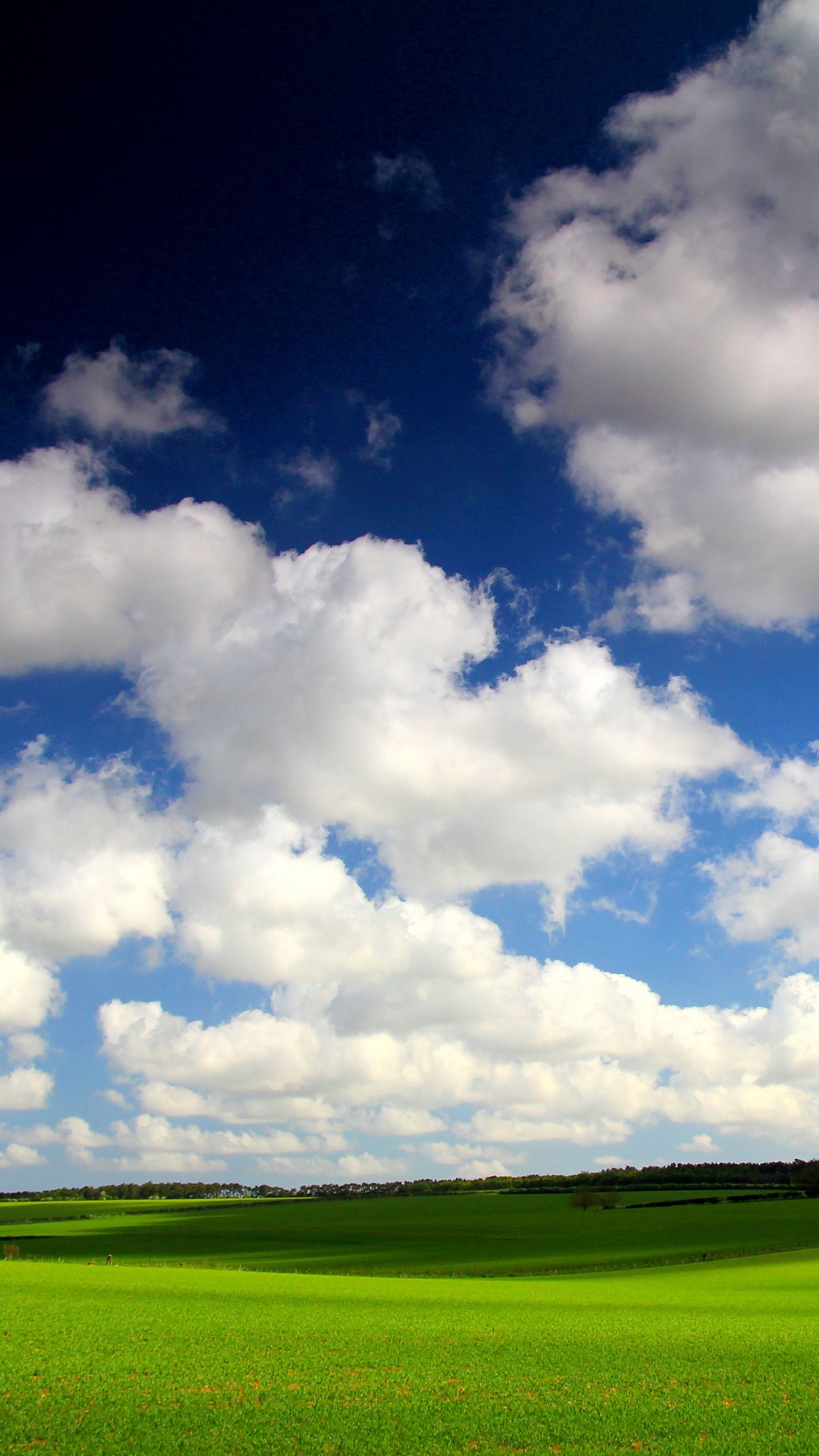 Champ D'herbe Verte Sous Ciel Bleu et Nuages Blancs Pendant la Journée. Wallpaper in 1440x2560 Resolution