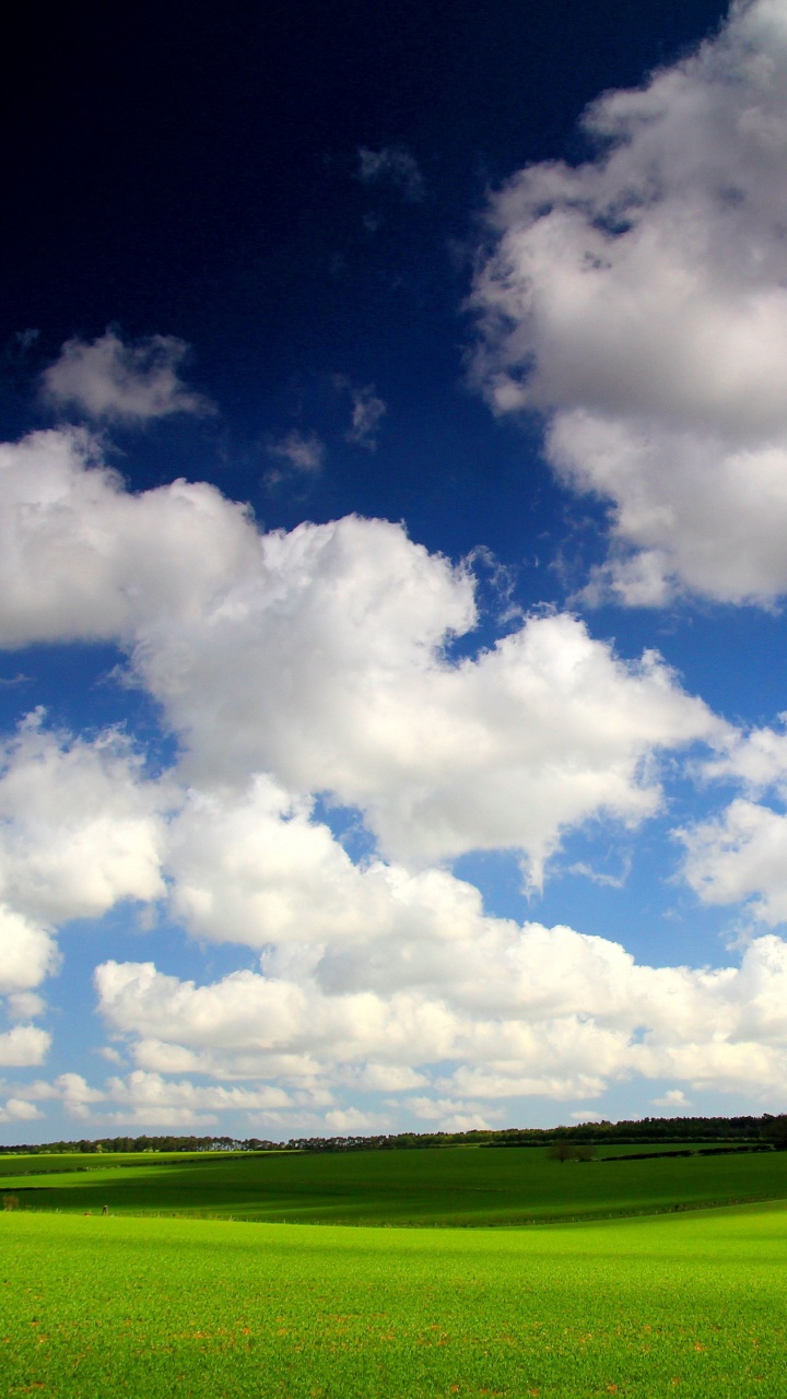 Green Grass Field Under Blue Sky and White Clouds During Daytime. Wallpaper in 720x1280 Resolution