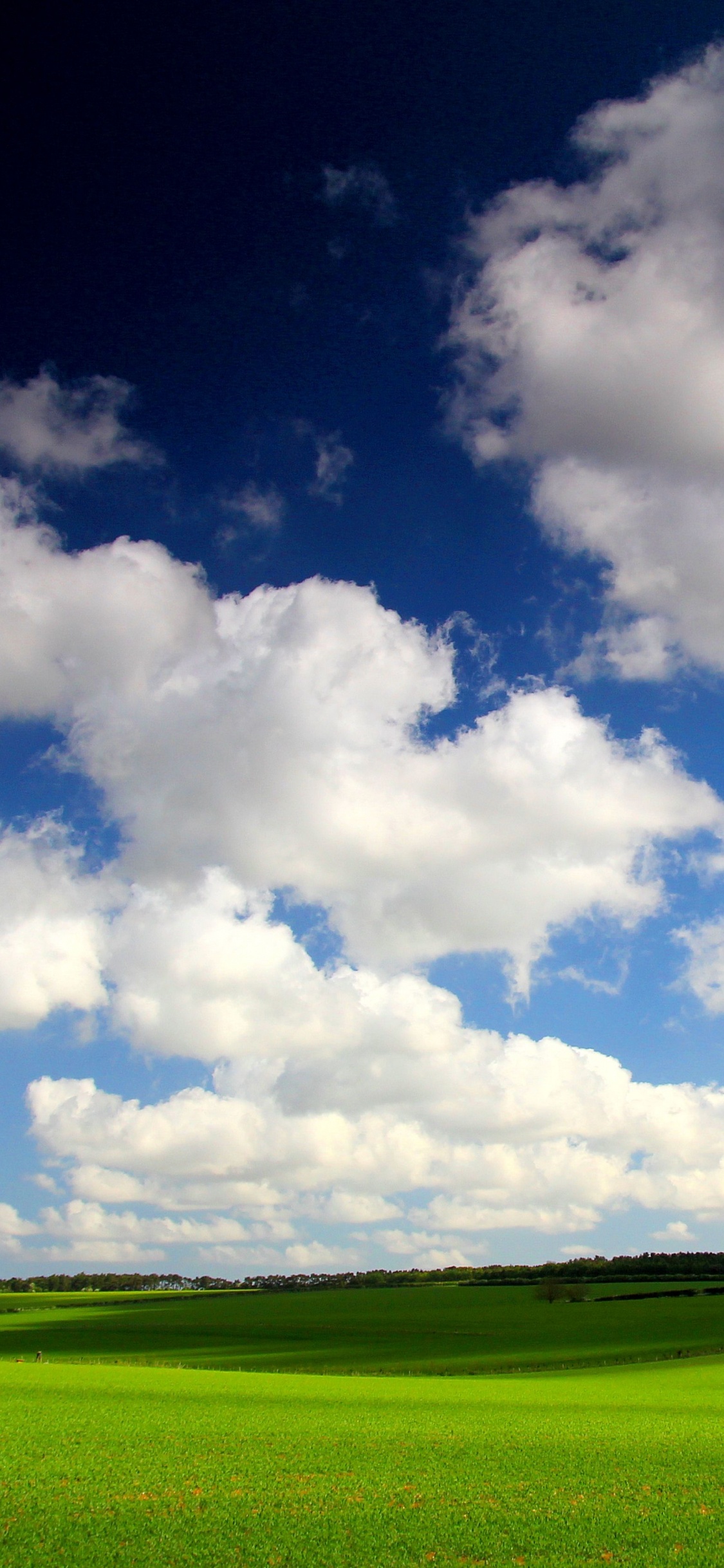 Grüne Wiese Unter Blauem Himmel Und Weißen Wolken Tagsüber. Wallpaper in 1125x2436 Resolution