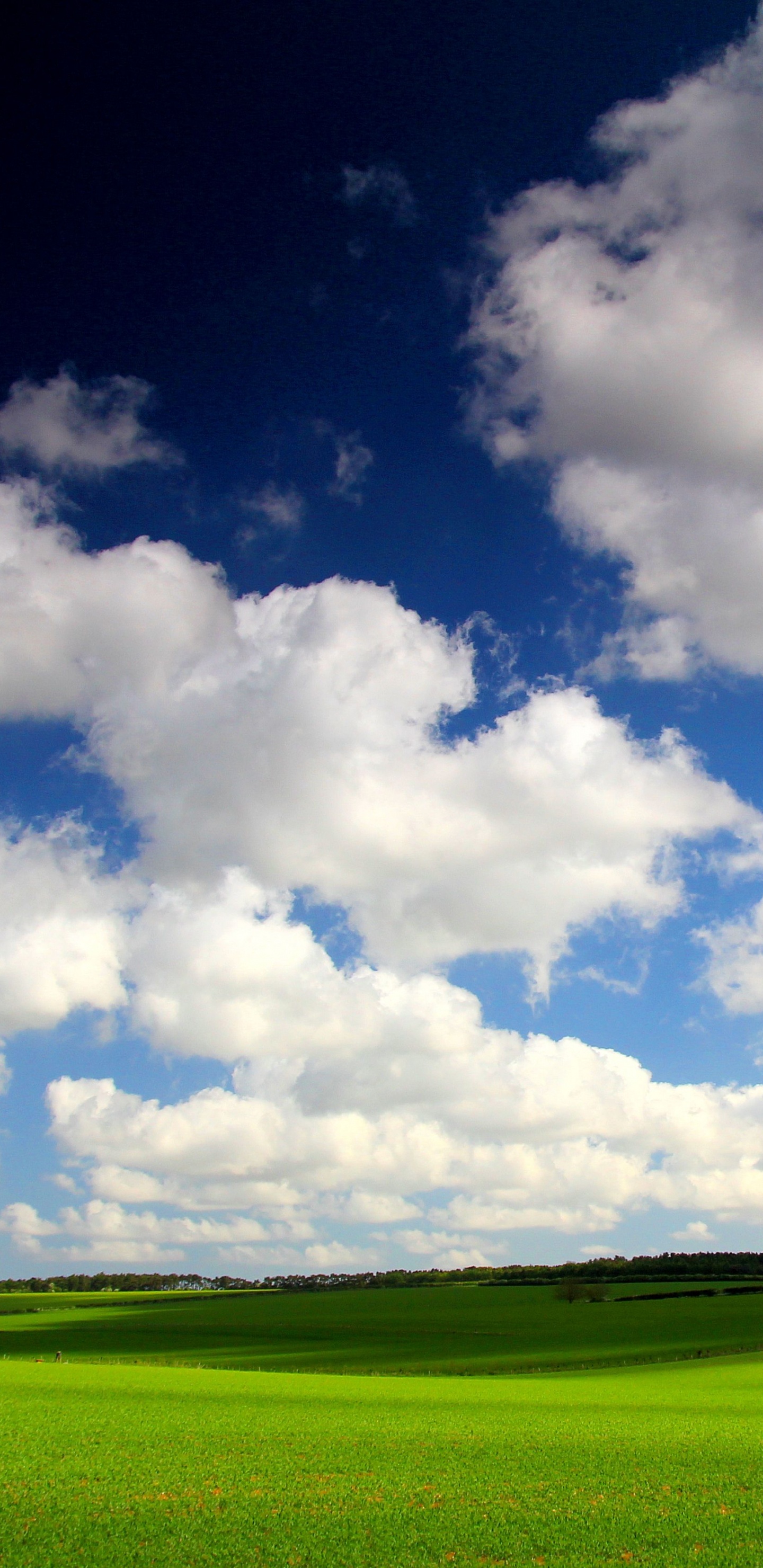 Grüne Wiese Unter Blauem Himmel Und Weißen Wolken Tagsüber. Wallpaper in 1440x2960 Resolution