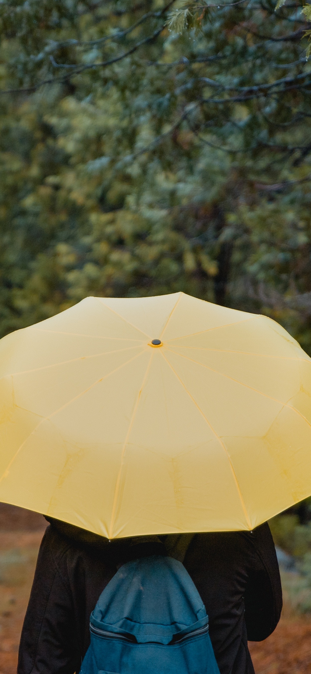 Person in Blauer Jacke Mit Gelbem Regenschirm, Die Tagsüber Auf Feldweg Zwischen Grünen Bäumen Geht. Wallpaper in 1242x2688 Resolution