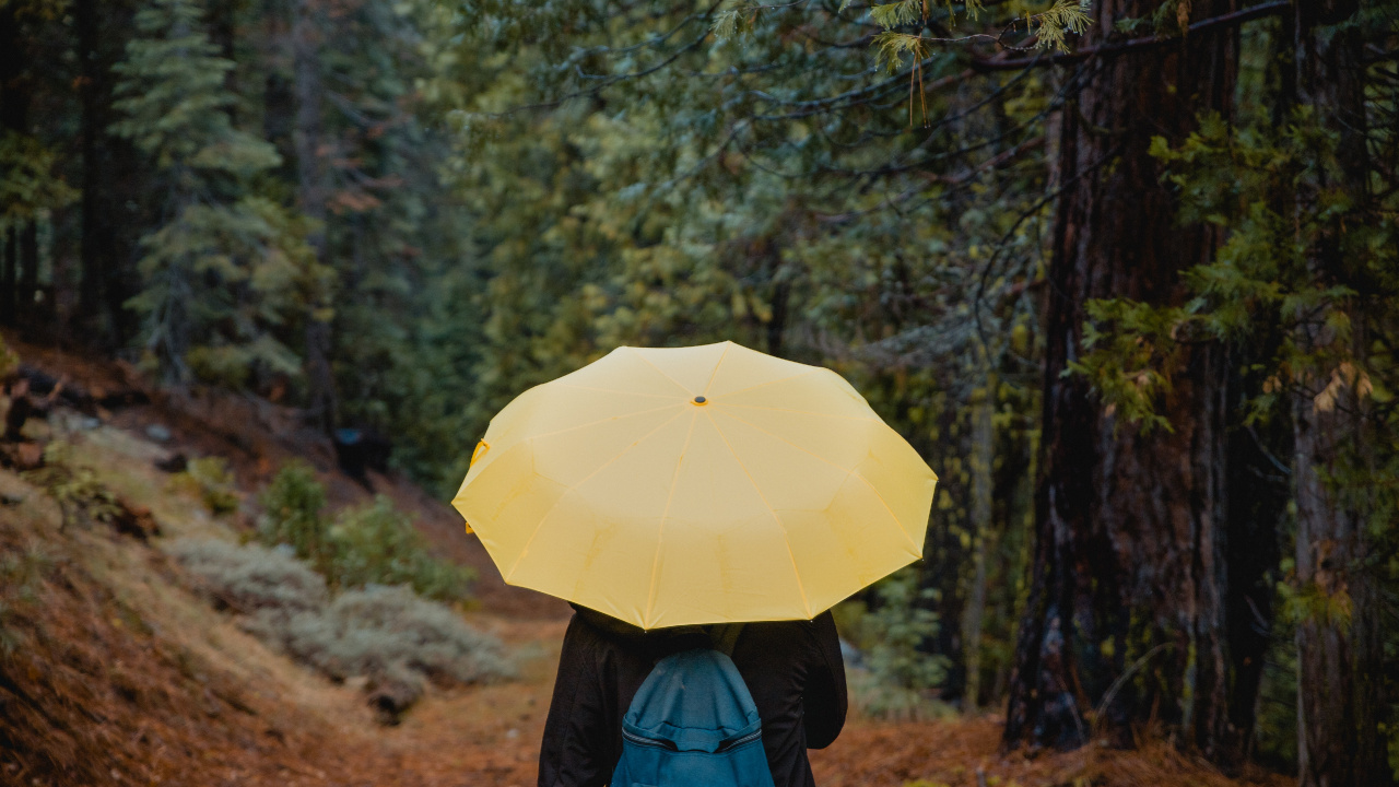 Person in Blauer Jacke Mit Gelbem Regenschirm, Die Tagsüber Auf Feldweg Zwischen Grünen Bäumen Geht. Wallpaper in 1280x720 Resolution