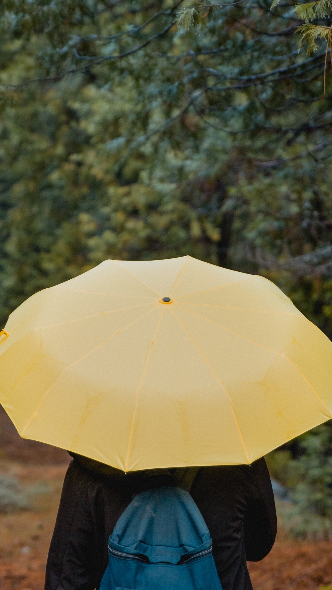 Personne en Veste Bleue Tenant un Parapluie Jaune Marchant Sur un Chemin de Terre Entre Les Arbres Verts Pendant la Journée. Wallpaper in 1080x1920 Resolution