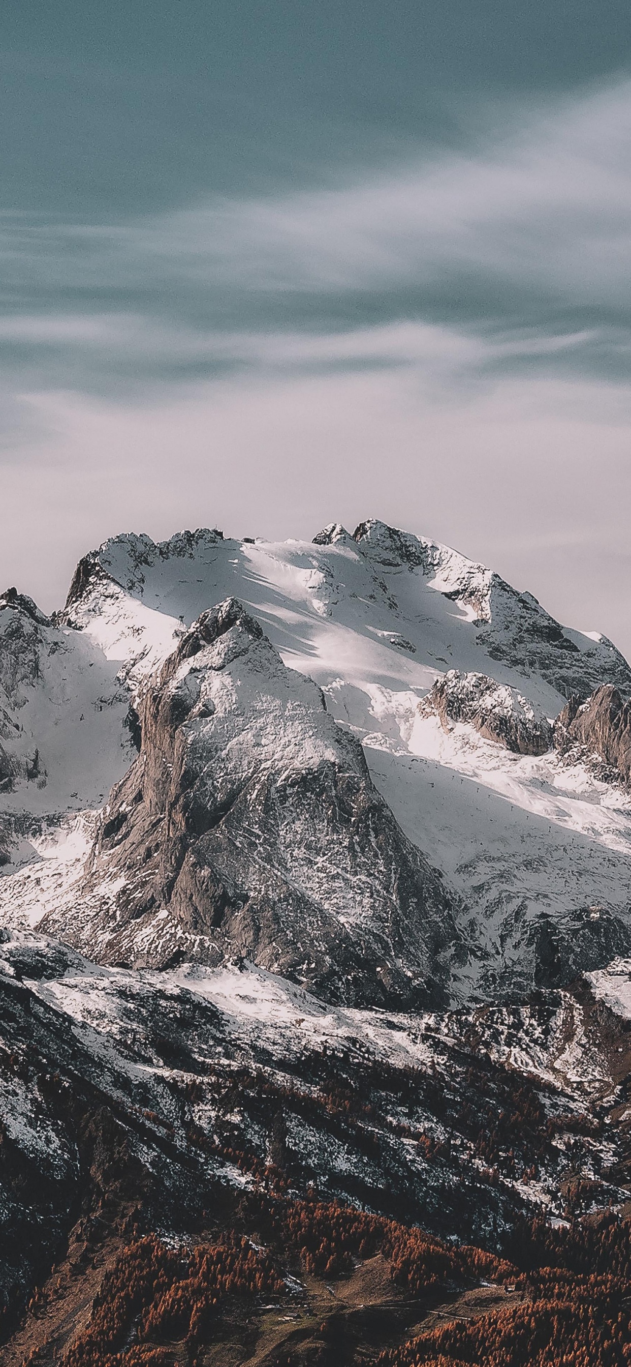 Tommy Hilfiger Berg, Tommy Hilfiger, T-shirt, Cloud, Schnee. Wallpaper in 1242x2688 Resolution