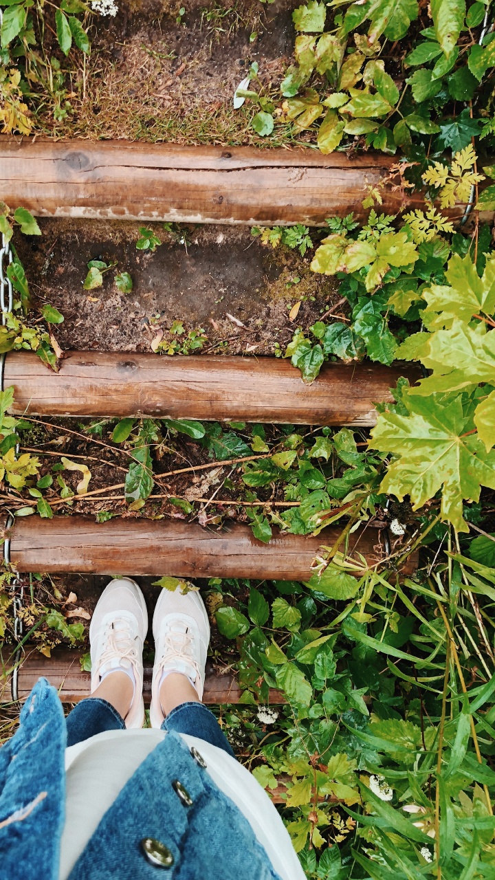 Feuille, Plante, Biologie, Denim, Couvre-sol. Wallpaper in 720x1280 Resolution