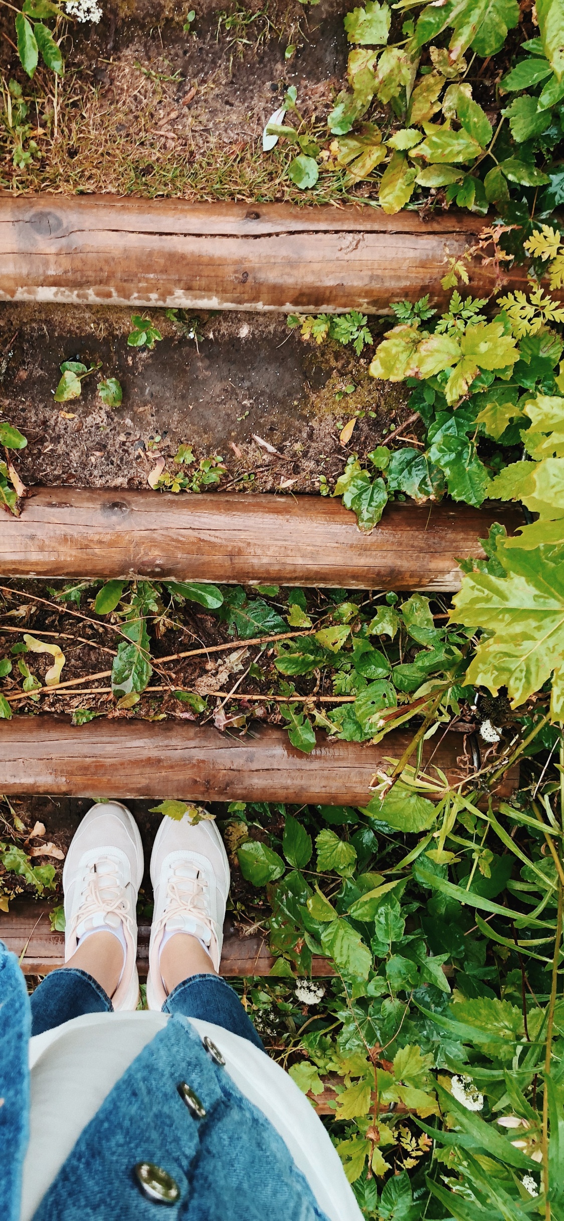 Leaf, Plants, Biology, Shoe, Denim. Wallpaper in 1125x2436 Resolution