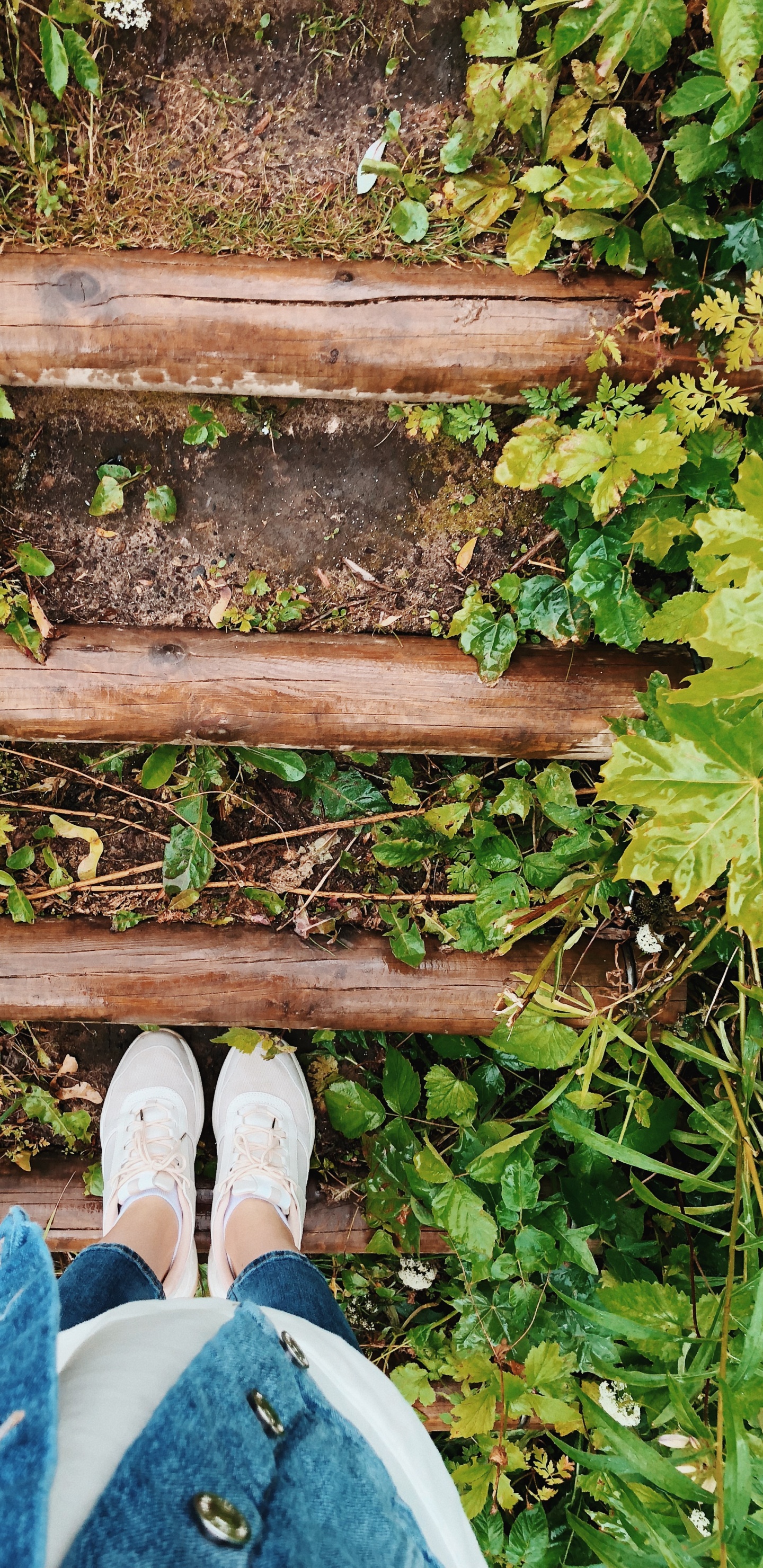 Leaf, Plants, Biology, Shoe, Denim. Wallpaper in 1440x2960 Resolution