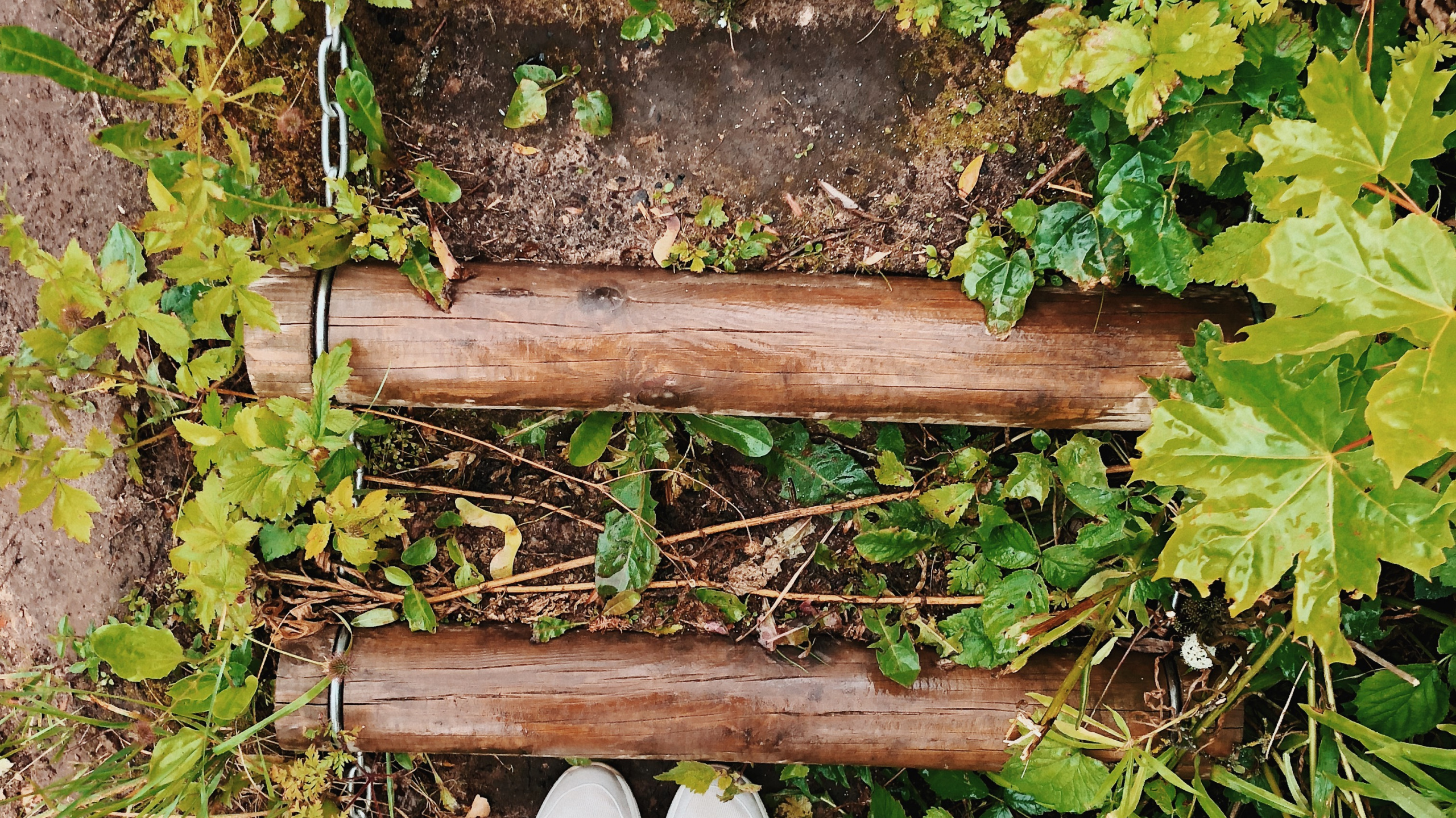 Leaf, Plants, Biology, Shoe, Denim. Wallpaper in 2560x1440 Resolution