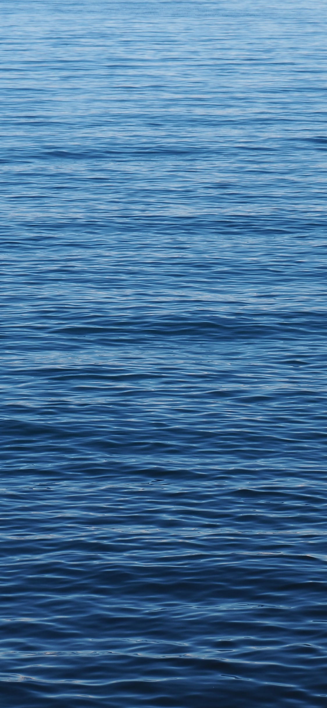 Meer, Allgemeinbildung Liceum, Schule, nk Pl, Klasse. Wallpaper in 1125x2436 Resolution