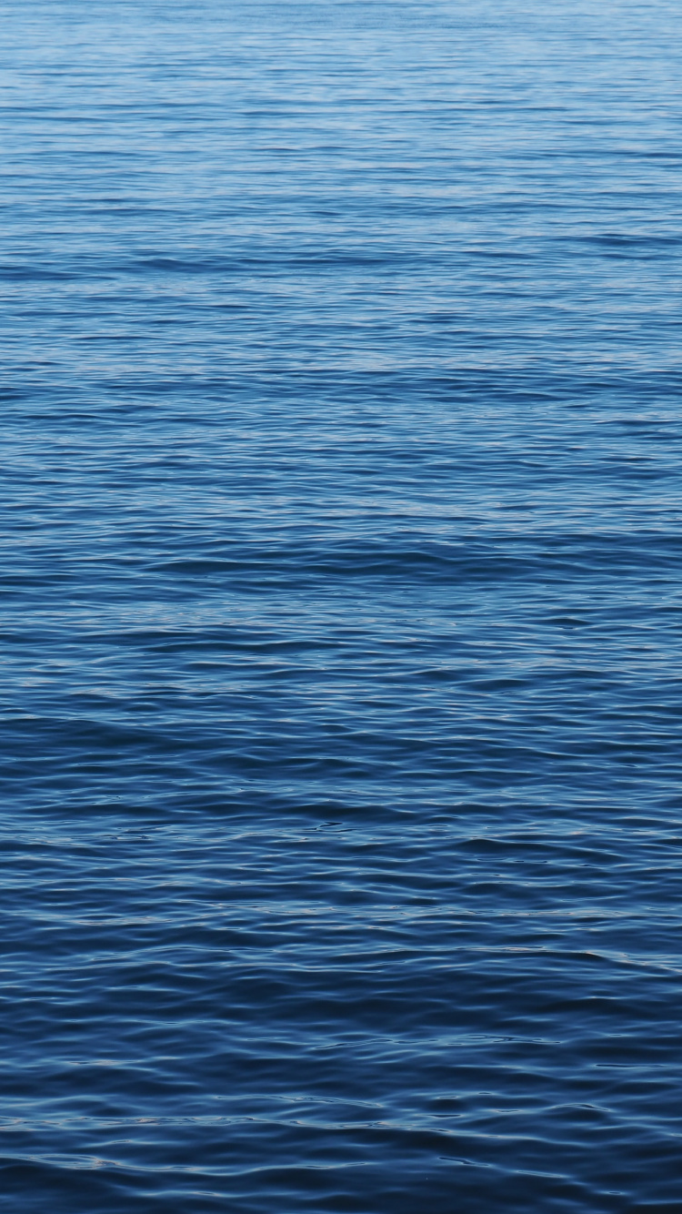 Meer, Allgemeinbildung Liceum, Schule, nk Pl, Klasse. Wallpaper in 750x1334 Resolution