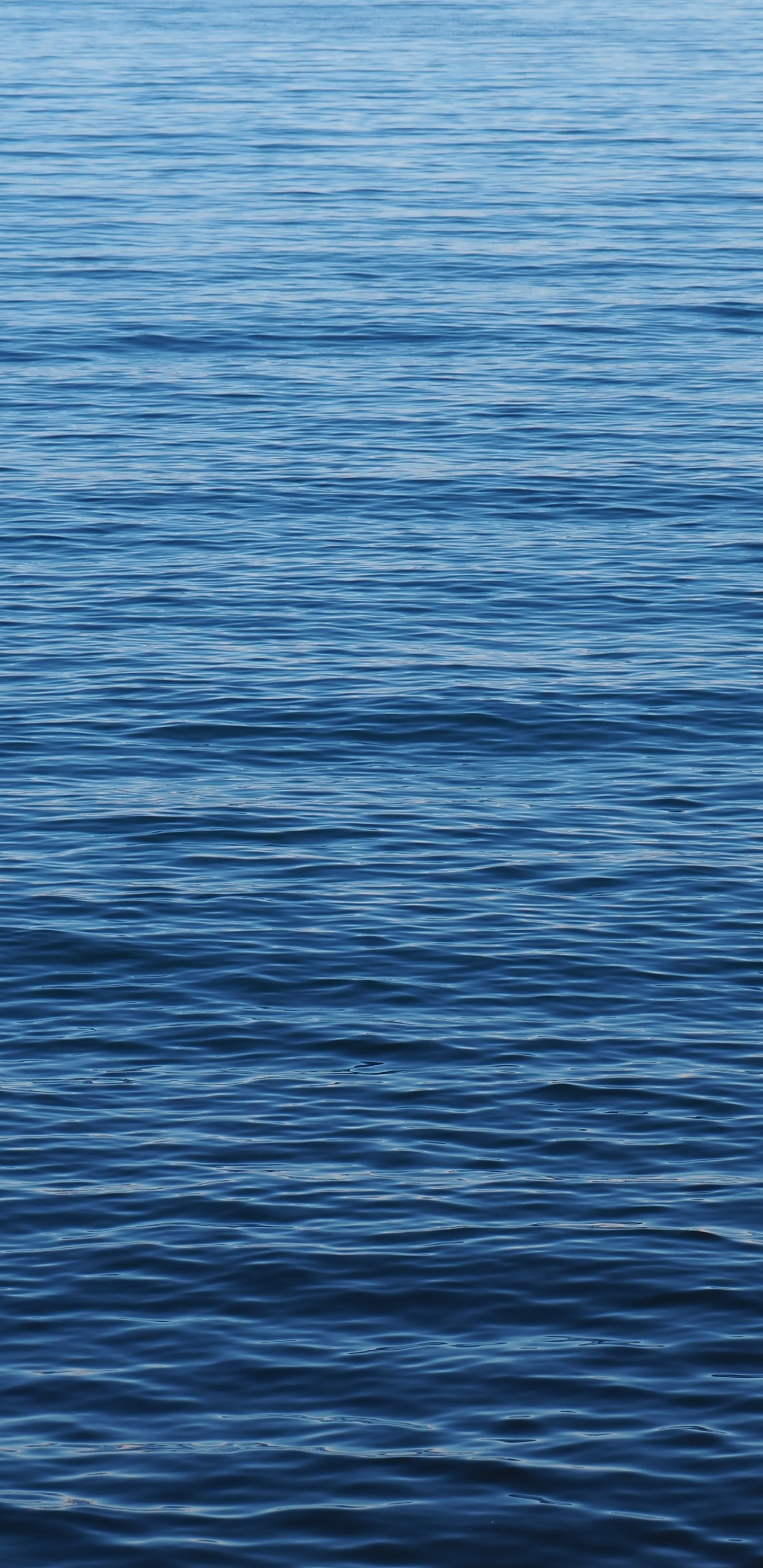 Mer, Licence D'enseignement Général, École, nk Pl, Classe. Wallpaper in 1440x2960 Resolution