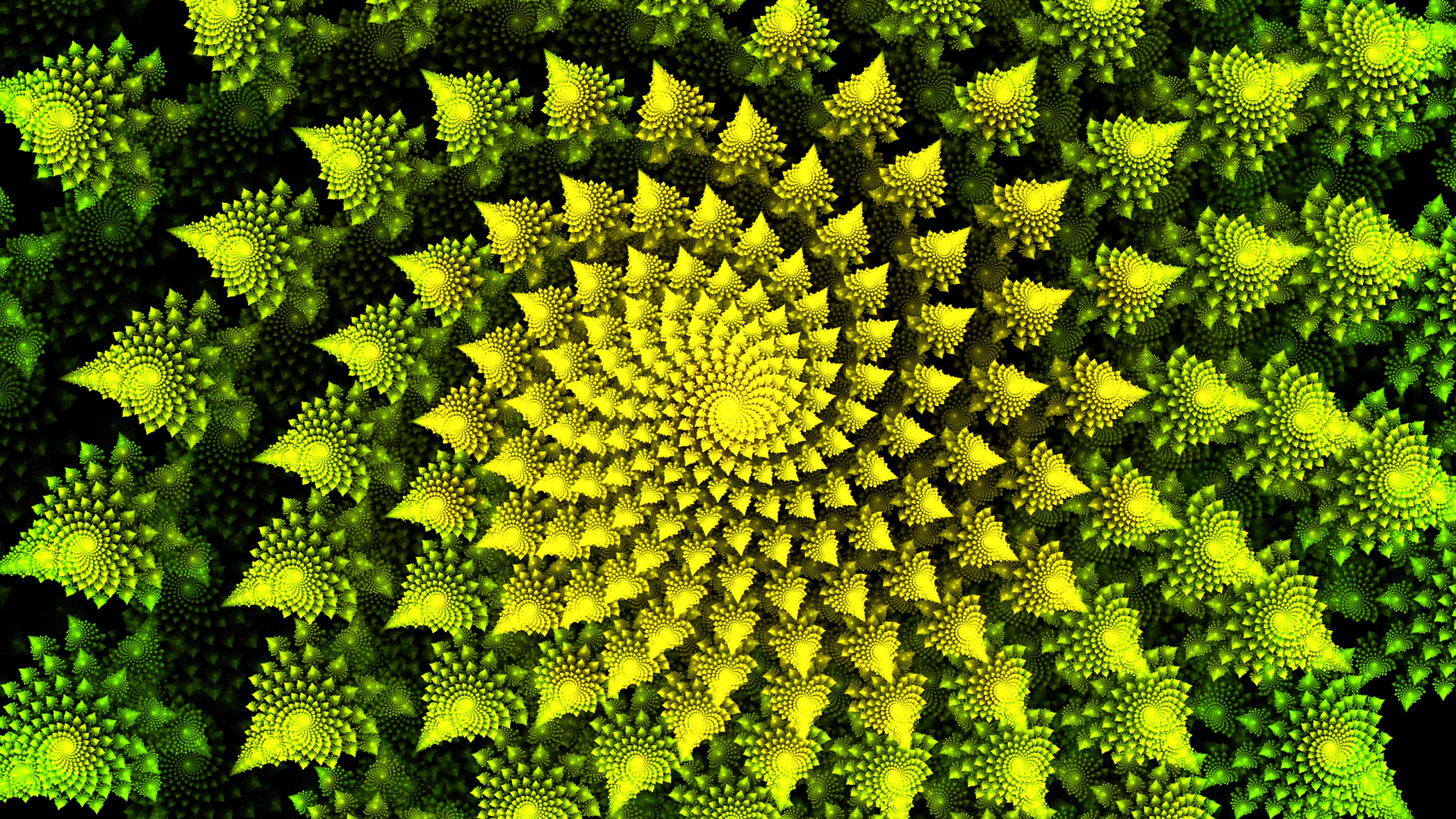 Green and Yellow Flower in Close up Photography. Wallpaper in 2560x1440 Resolution