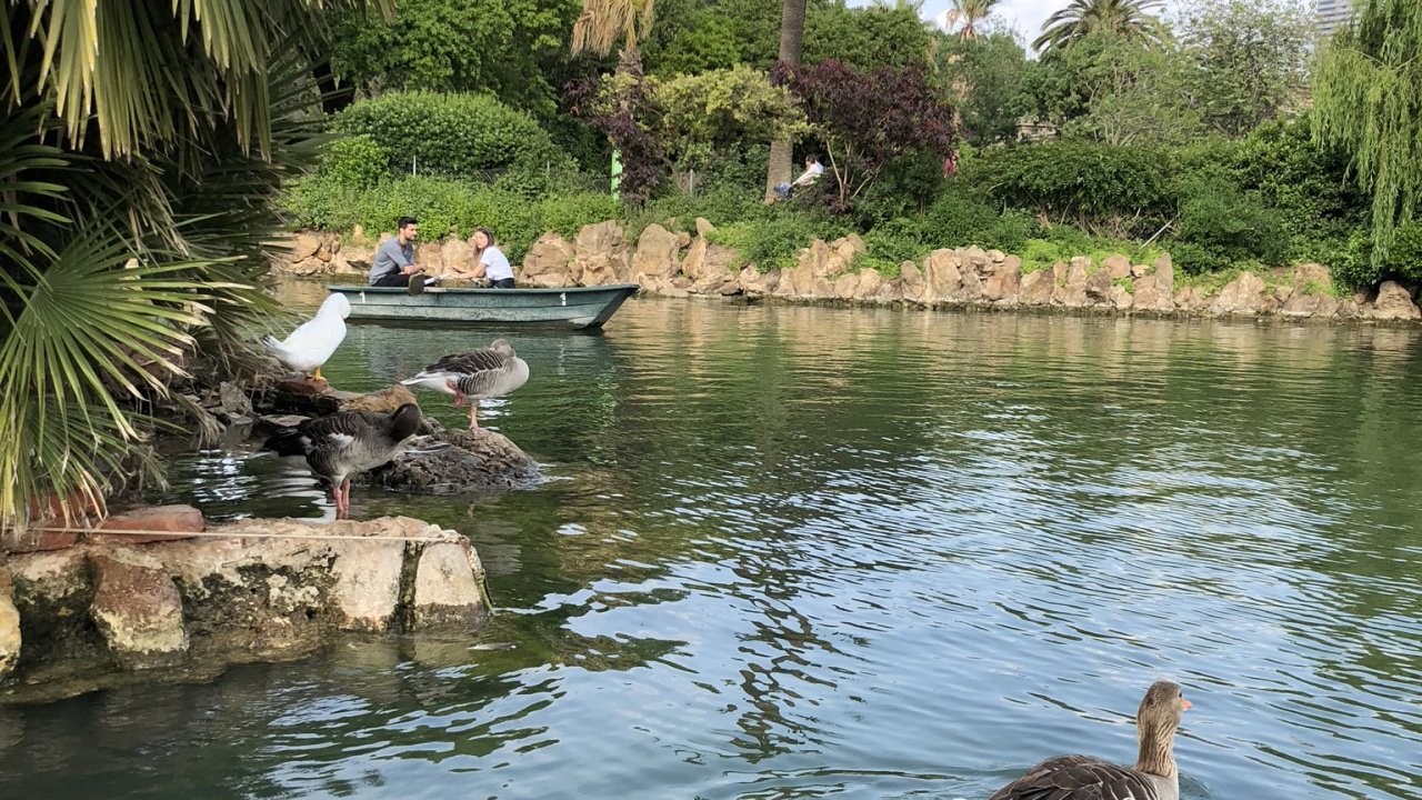 Réflexion, Corps de L'eau, Les Ressources en Eau, Eau, Étang. Wallpaper in 1280x720 Resolution