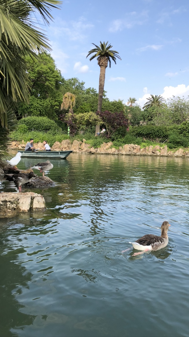 Réflexion, Corps de L'eau, Les Ressources en Eau, Eau, Étang. Wallpaper in 720x1280 Resolution
