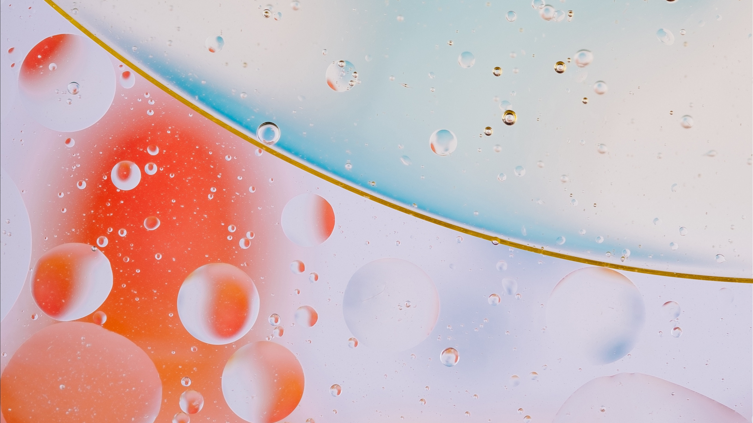 Gotas de Agua en el Panel de Vidrio. Wallpaper in 2560x1440 Resolution