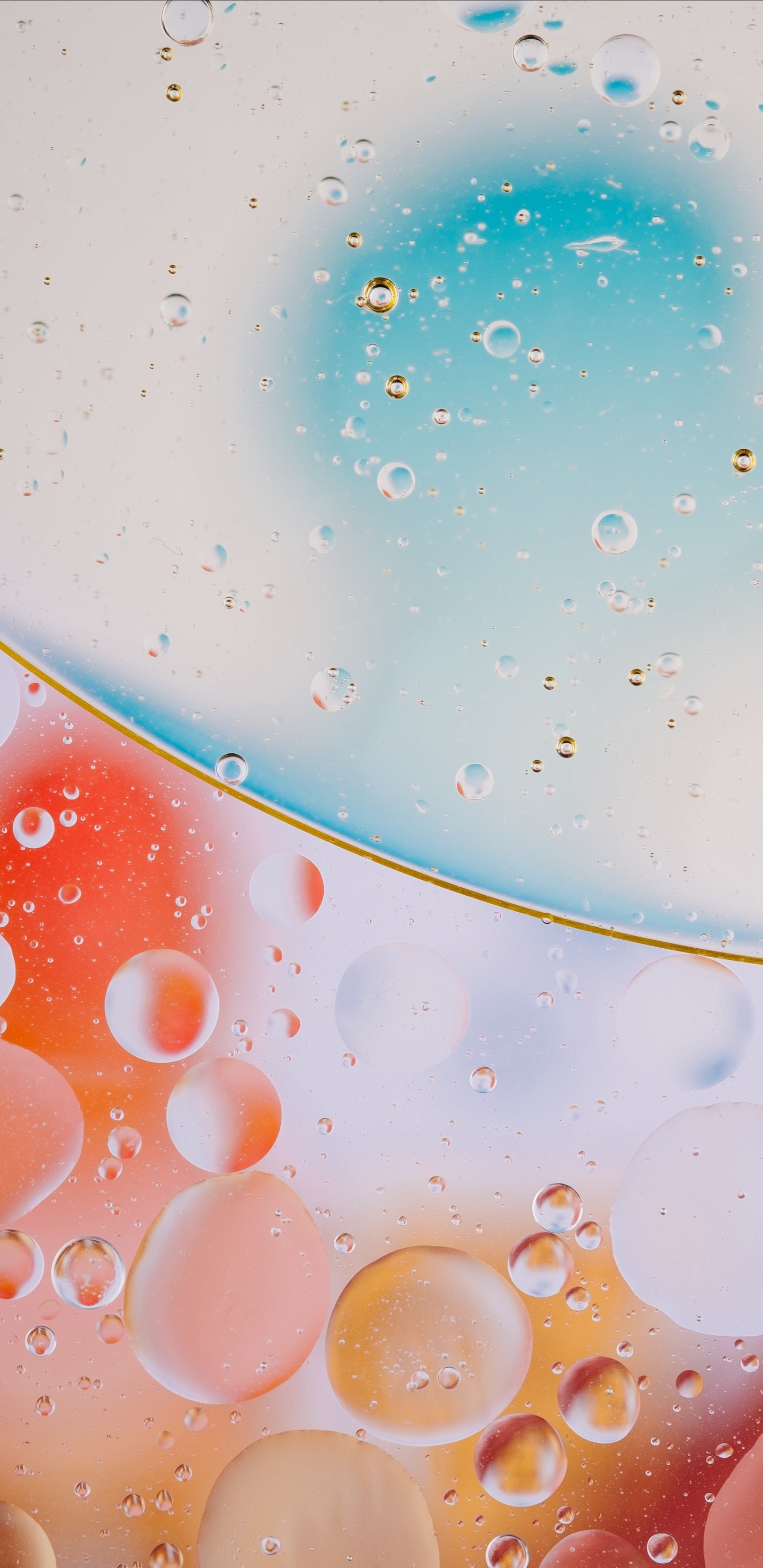 Wassertropfen Auf Glasscheibe. Wallpaper in 1440x2960 Resolution