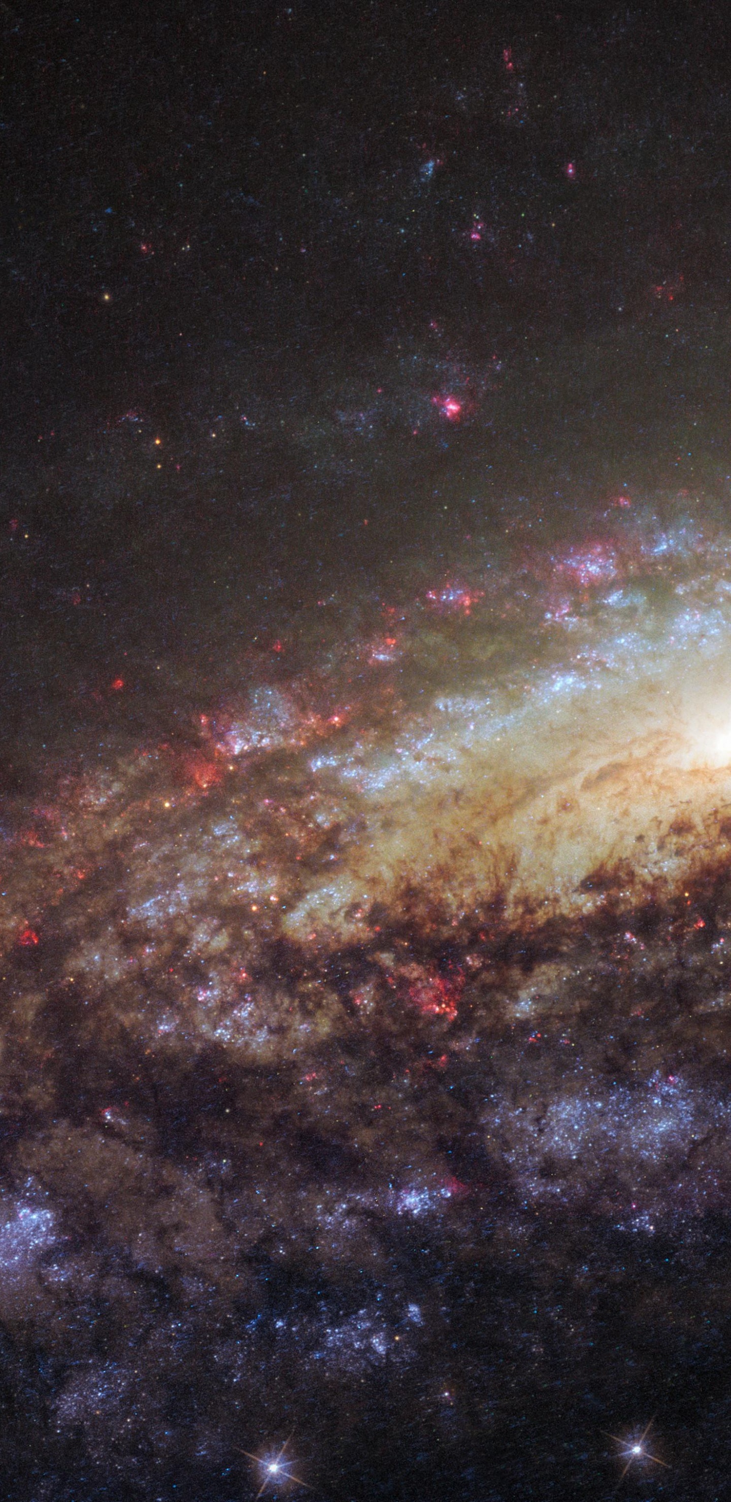 Sternenhimmel Über Der Sternennacht. Wallpaper in 1440x2960 Resolution