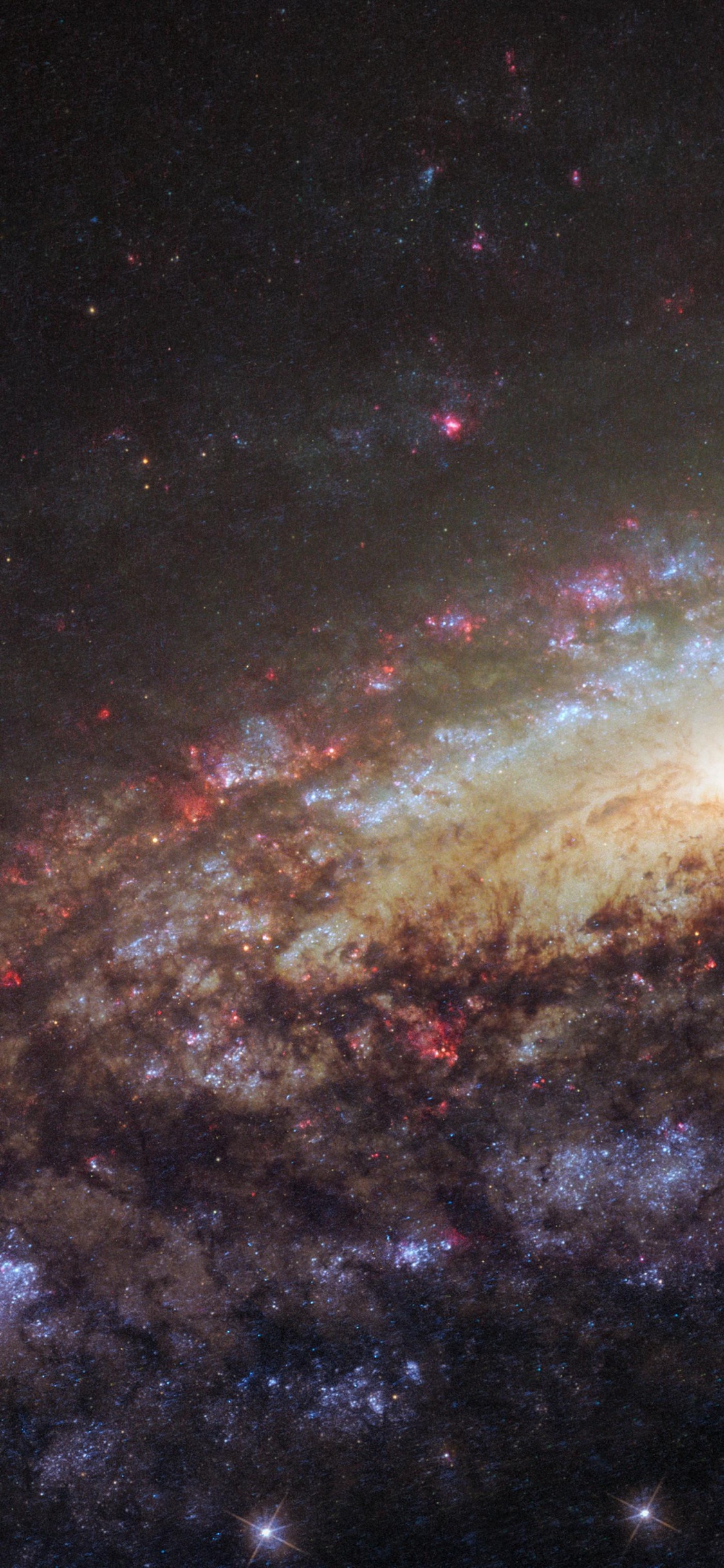 Starry Night Sky Over The Starry Night. Wallpaper in 1125x2436 Resolution