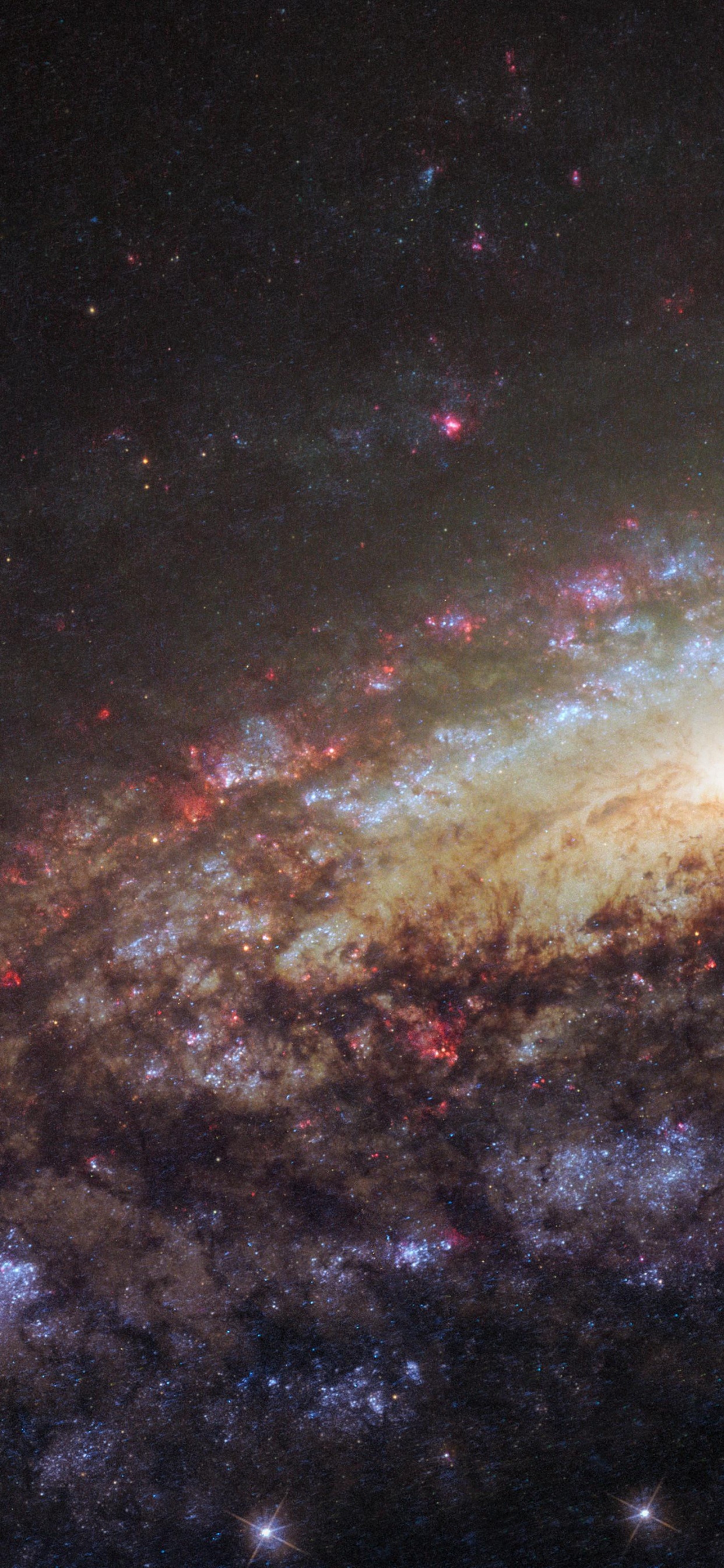 Starry Night Sky Over The Starry Night. Wallpaper in 1242x2688 Resolution