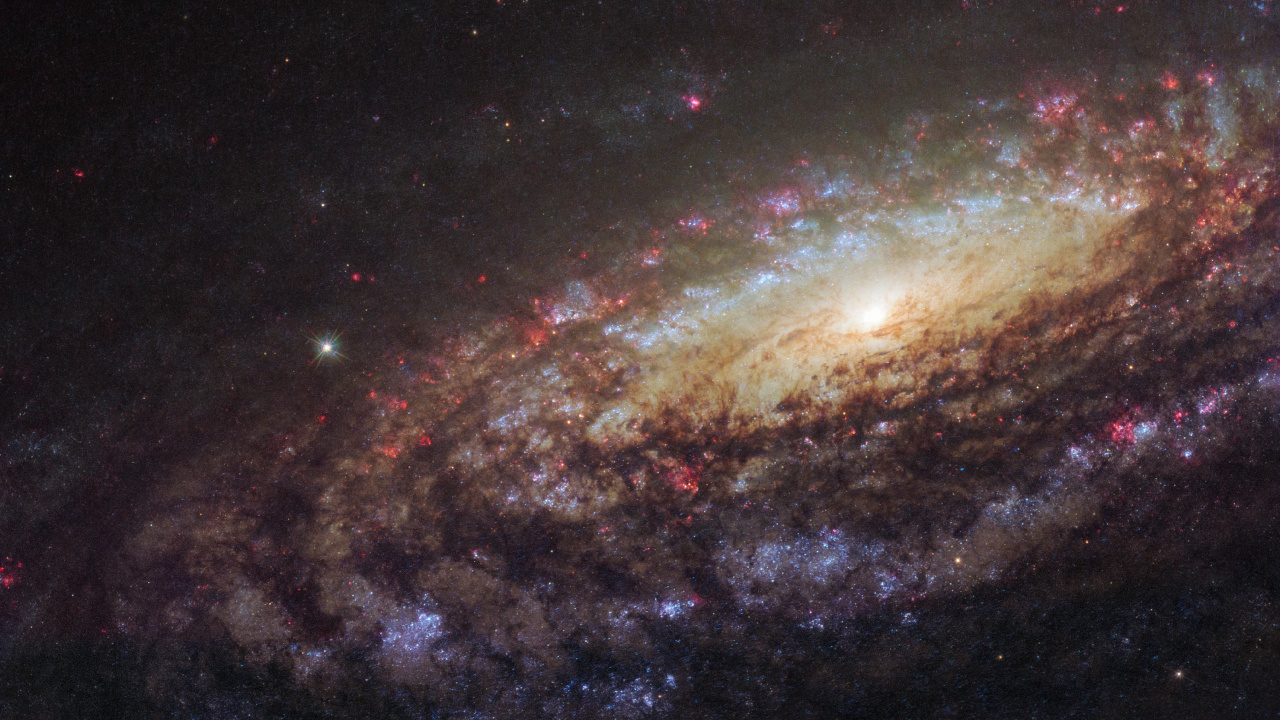 Starry Night Sky Over The Starry Night. Wallpaper in 1280x720 Resolution