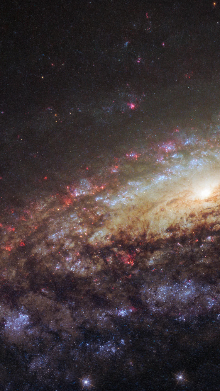 Cielo Estrellado Sobre la Noche Estrellada. Wallpaper in 750x1334 Resolution