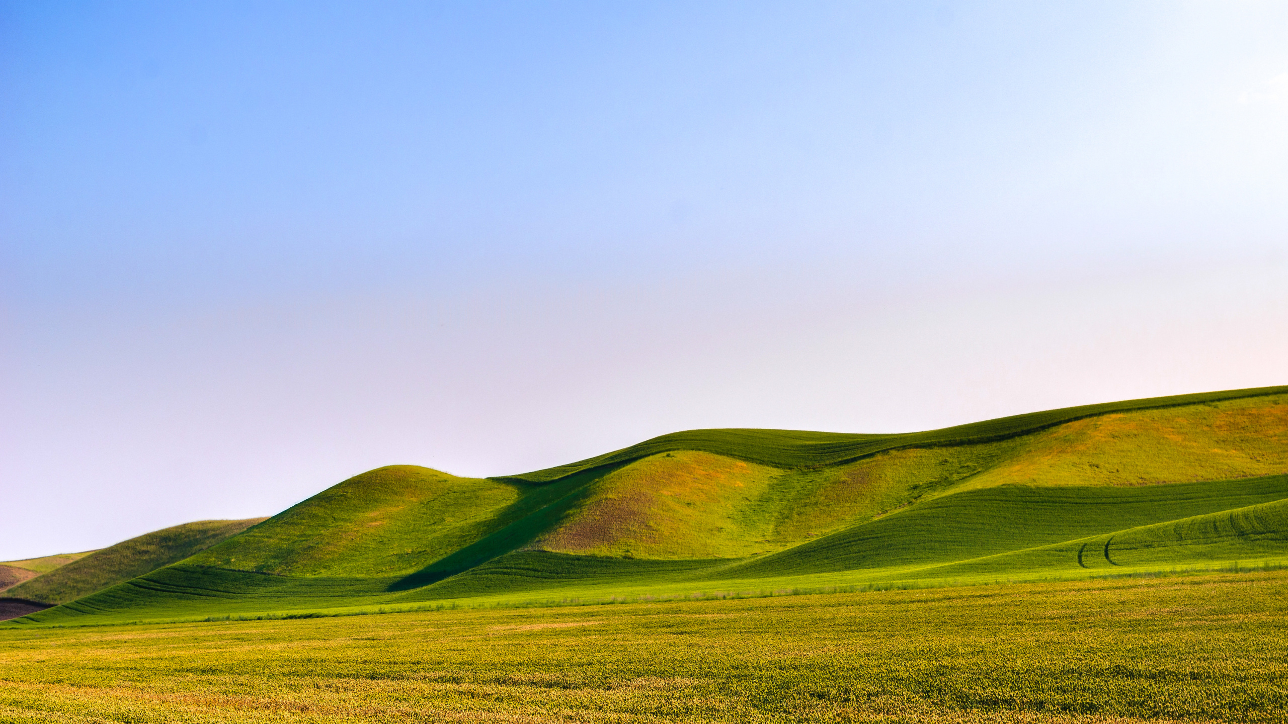 Dunas Verdes, Montaña, Paisaje Natural, Pendiente, Terreno. Wallpaper in 2560x1440 Resolution