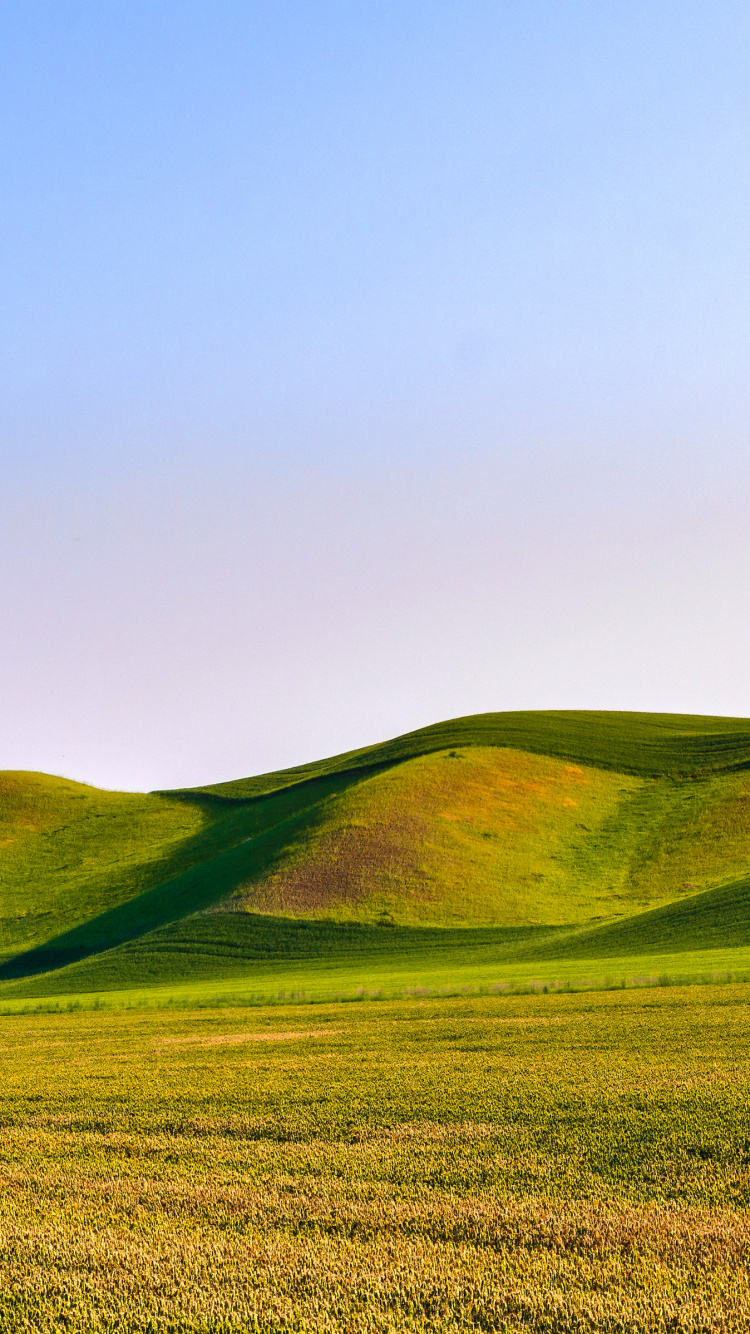 Green Dunes, Plant, Mountain, Natural Landscape, Slope. Wallpaper in 750x1334 Resolution