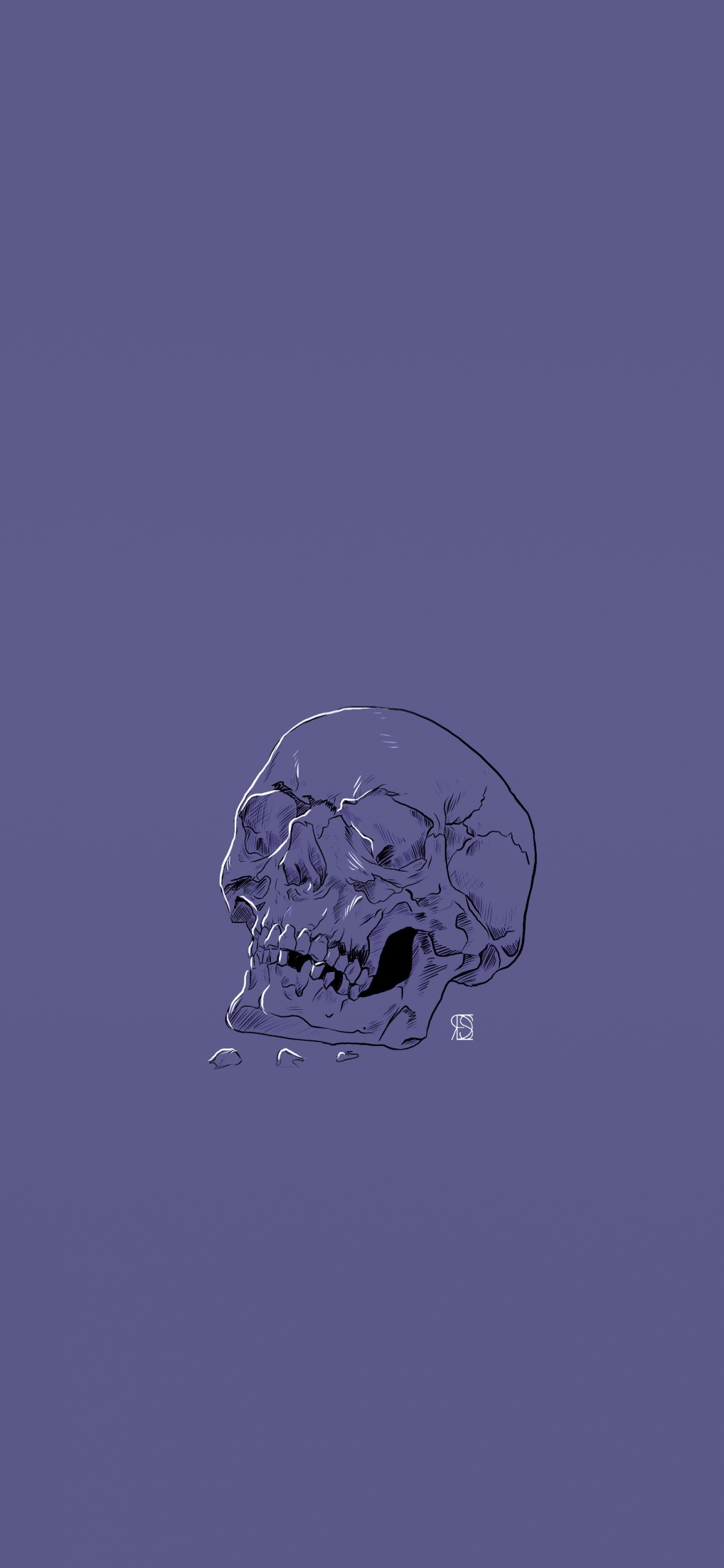 Skull, Head, Nature, Human, Blue. Wallpaper in 1125x2436 Resolution