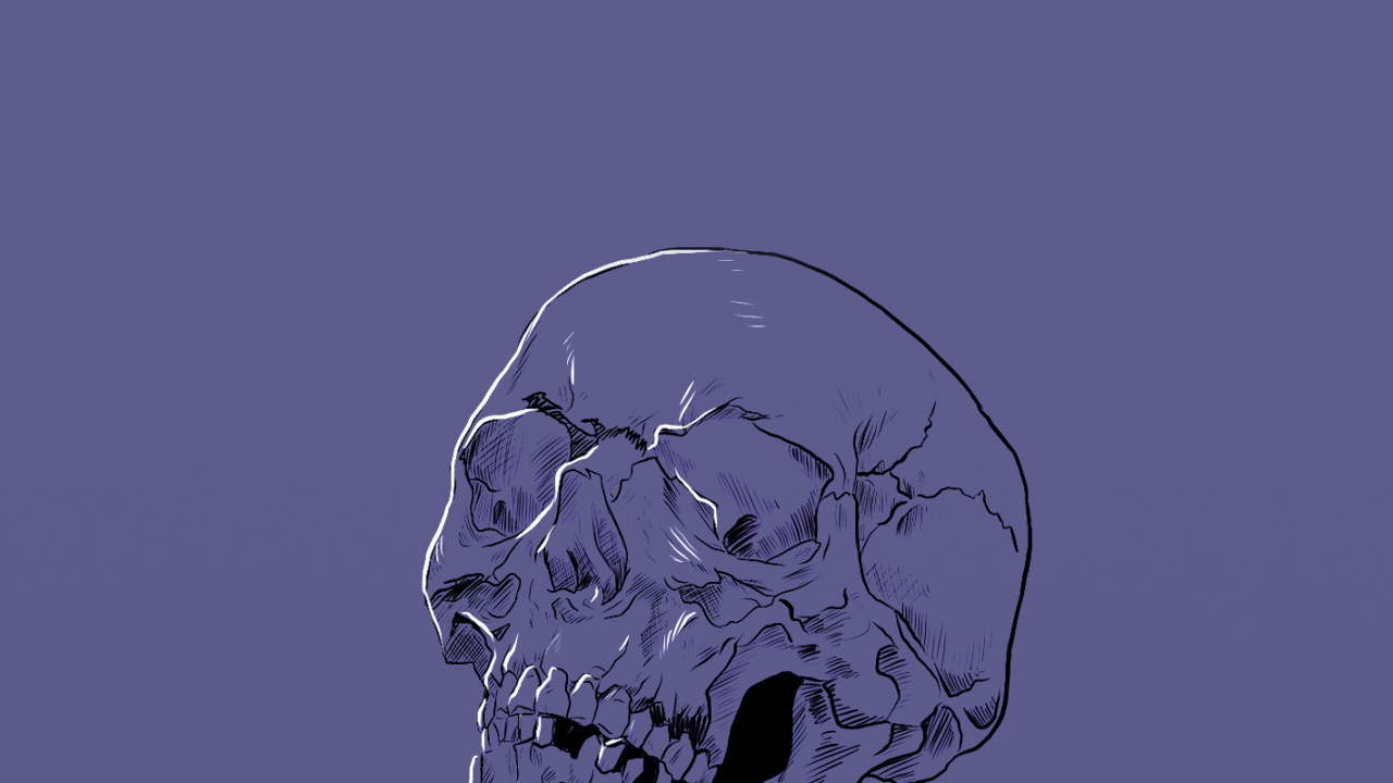 Skull, Head, Nature, Human, Blue. Wallpaper in 1280x720 Resolution