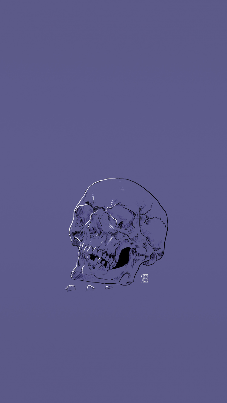 Skull, Head, Nature, Human, Blue. Wallpaper in 750x1334 Resolution