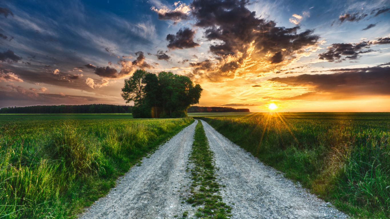 Champ D'herbe Verte Sous un Ciel Bleu Pendant le Coucher du Soleil. Wallpaper in 1366x768 Resolution
