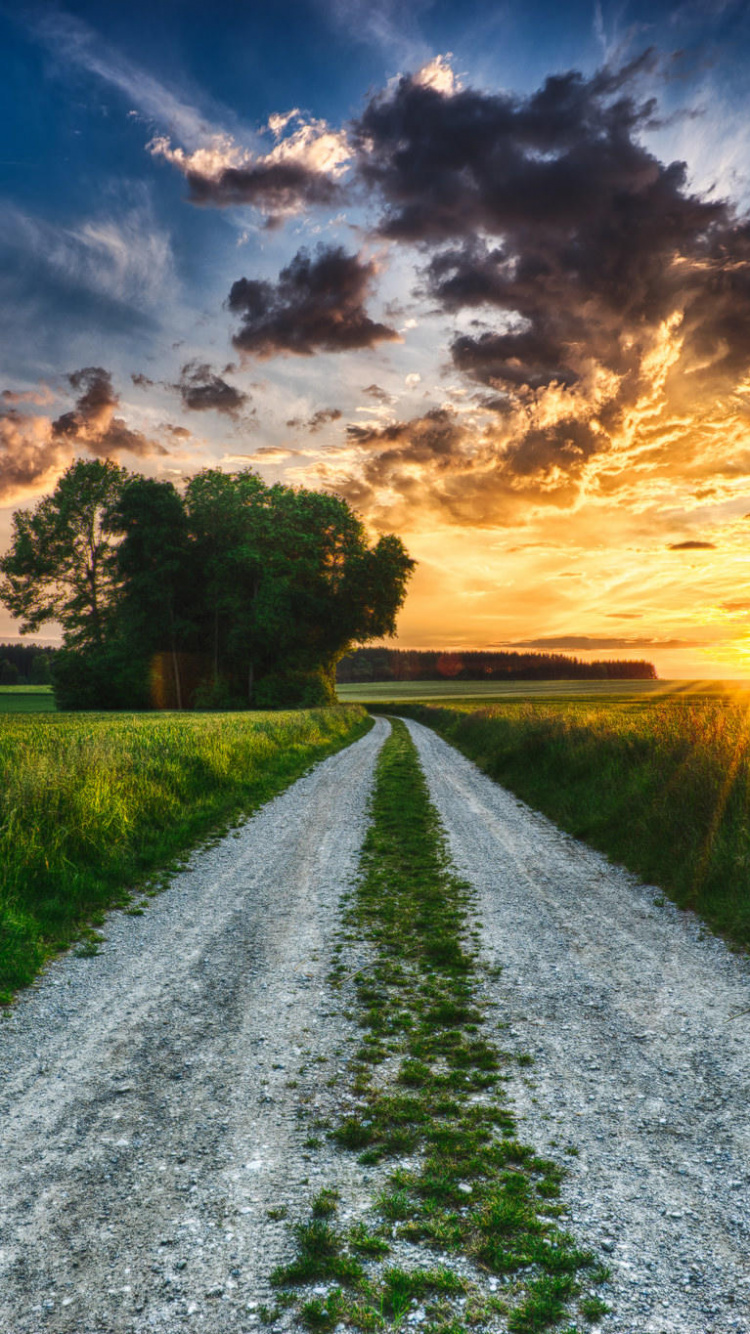 Green Grass Field Under Blue Sky During Sunset. Wallpaper in 750x1334 Resolution