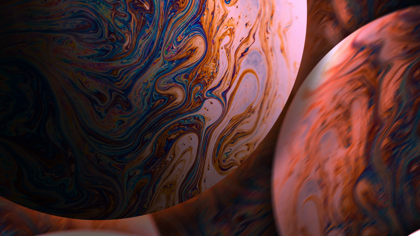 Close Up, Pumpkin, Squash, Orange, World. Wallpaper in 1366x768 Resolution