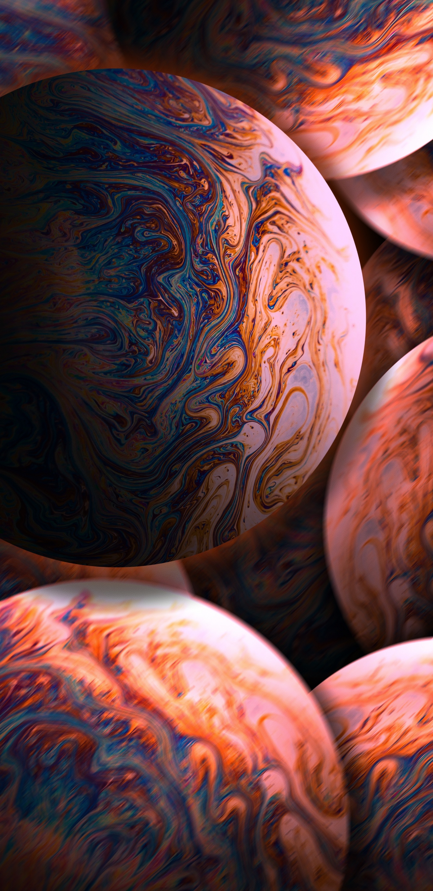 Fermer, Citrouille, Courge, Orange, Art. Wallpaper in 1440x2960 Resolution