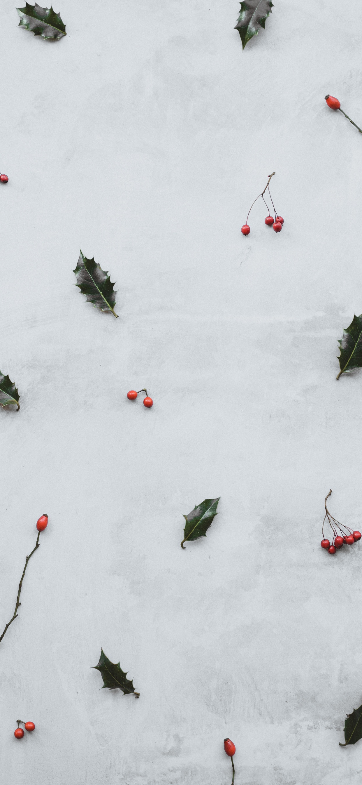 Snow, Winter, Plant, Recreation, Graphics. Wallpaper in 1242x2688 Resolution
