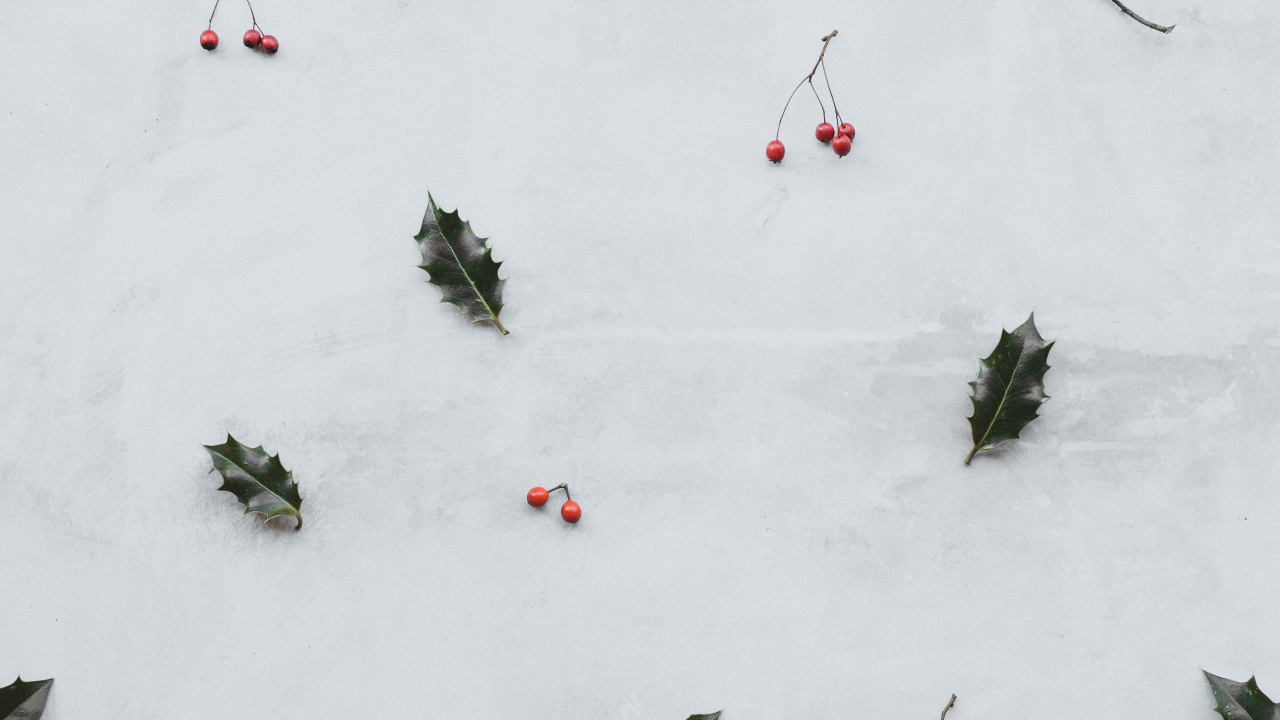 Snow, Winter, Plant, Recreation, Graphics. Wallpaper in 1280x720 Resolution