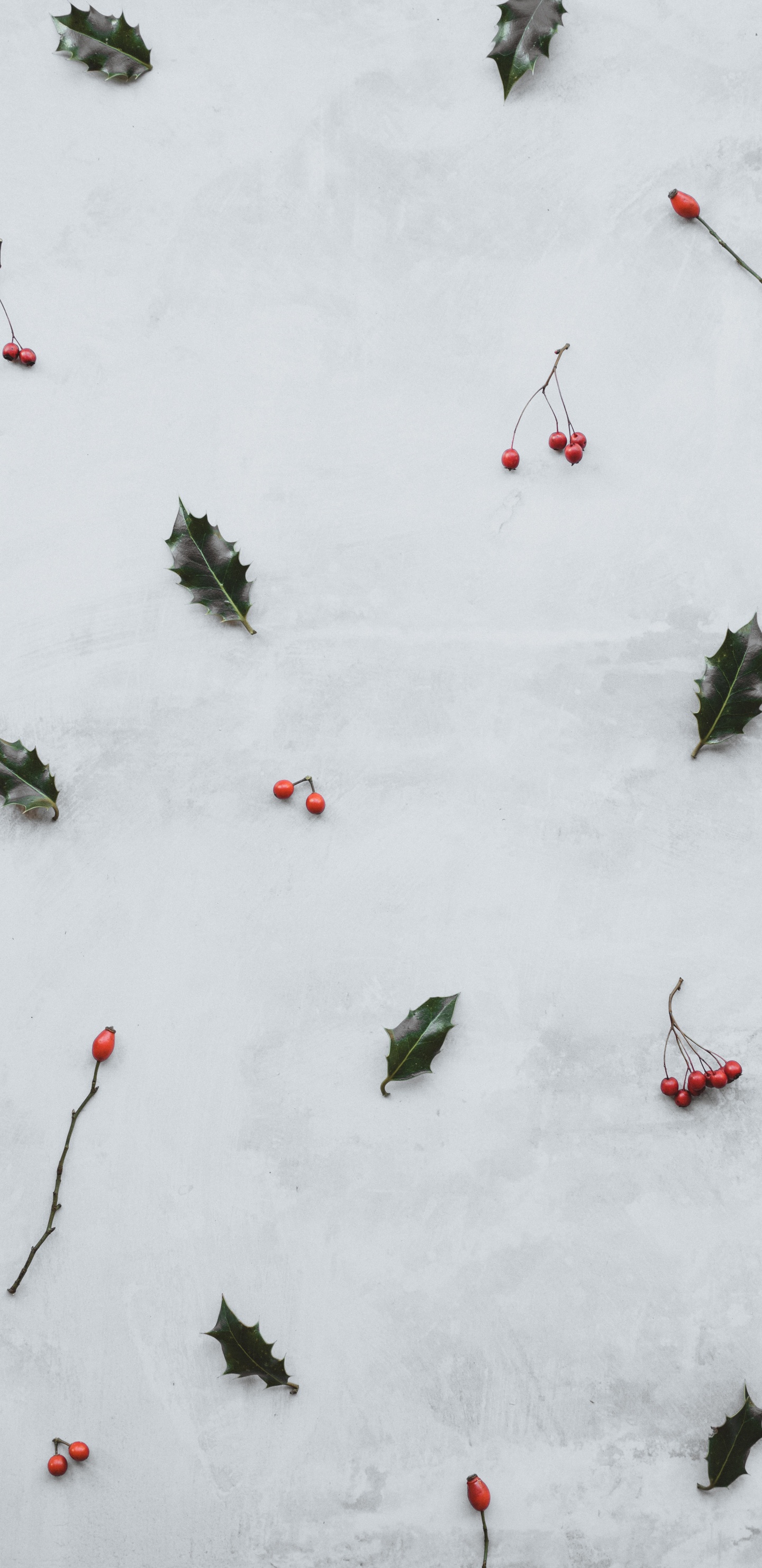 Snow, Winter, Plant, Recreation, Graphics. Wallpaper in 1440x2960 Resolution