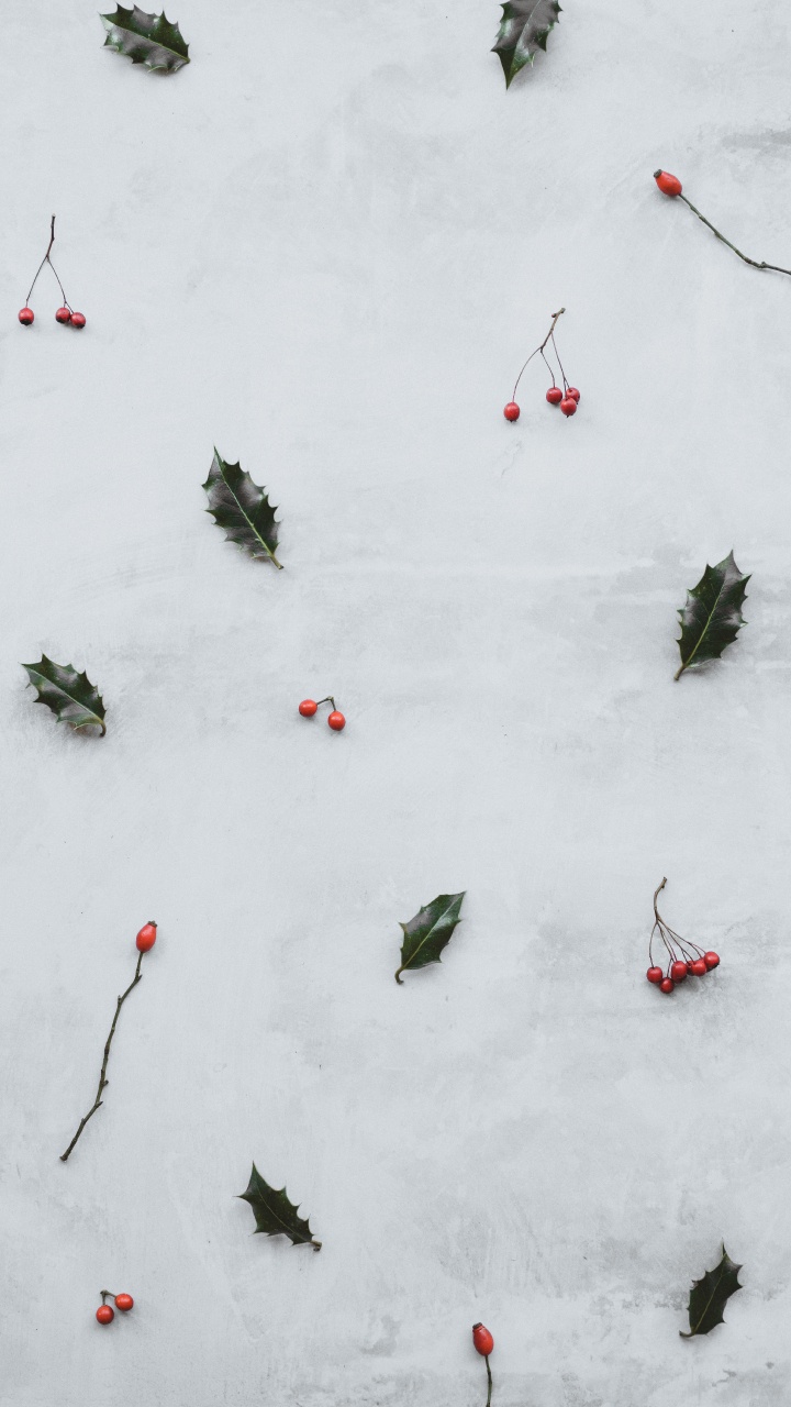 Snow, Winter, Plant, Recreation, Graphics. Wallpaper in 720x1280 Resolution