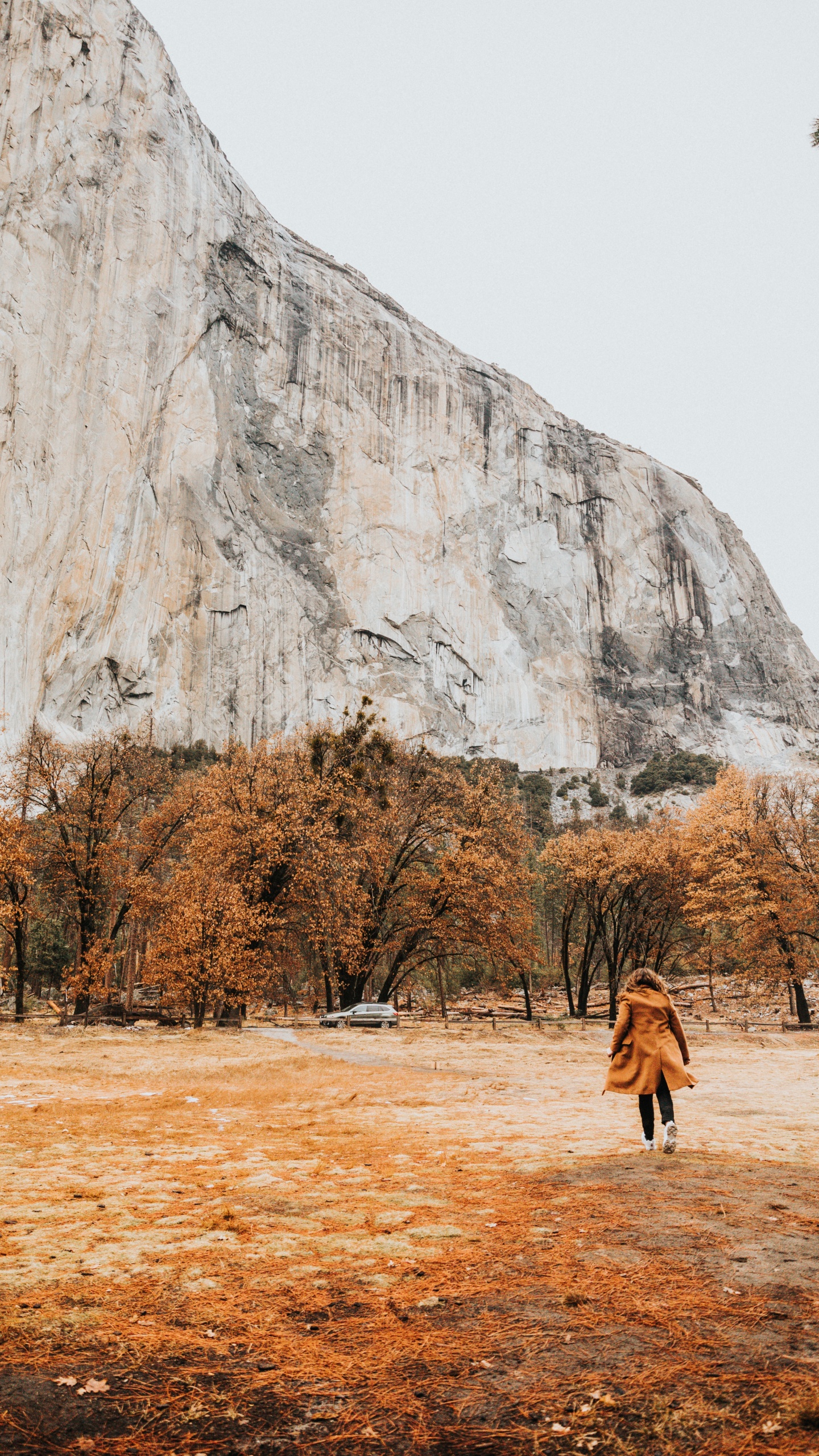 Person in Brown Coat Walking on Brown Field Near Gray Rock Mountain During Daytime. Wallpaper in 1440x2560 Resolution