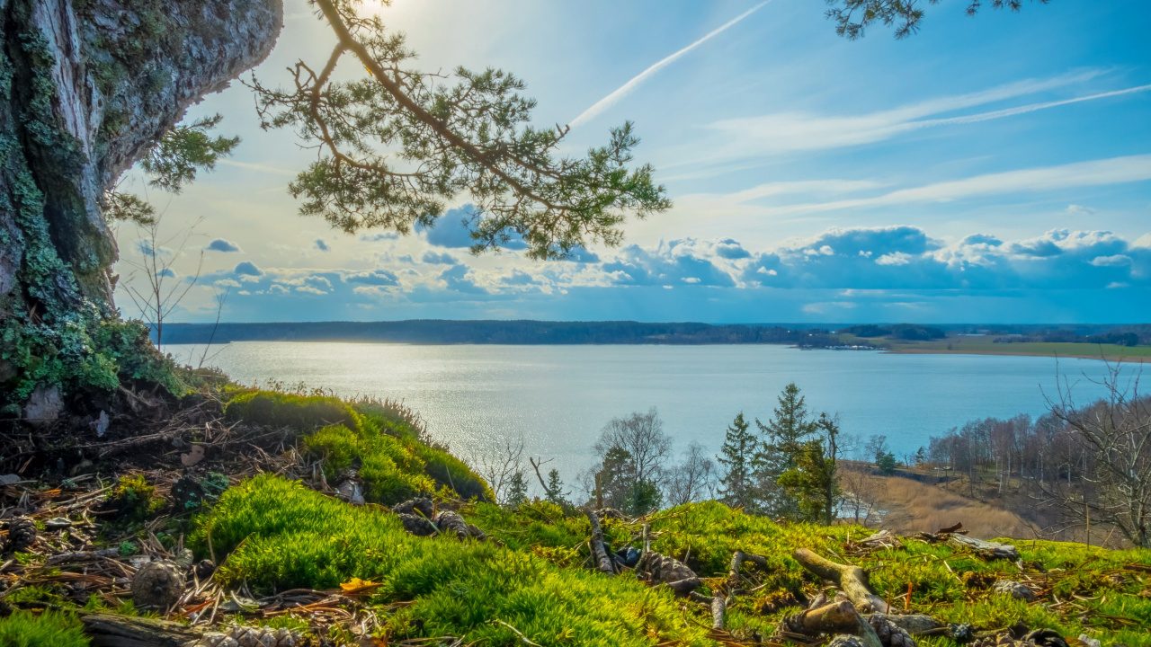 Green Grass Near Body of Water During Daytime. Wallpaper in 1280x720 Resolution