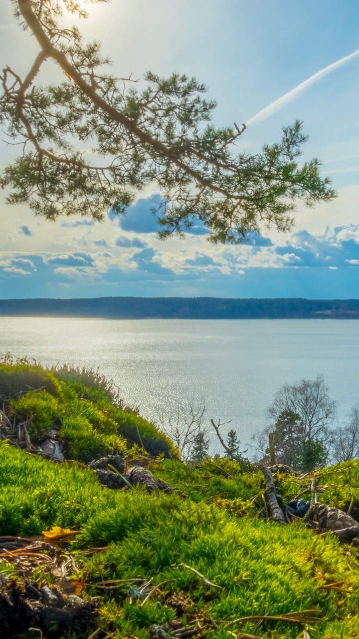Green Grass Near Body of Water During Daytime. Wallpaper in 720x1280 Resolution