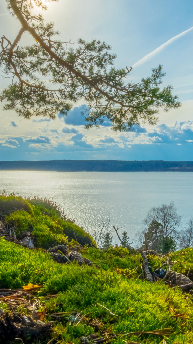 Green Grass Near Body of Water During Daytime. Wallpaper in 750x1334 Resolution